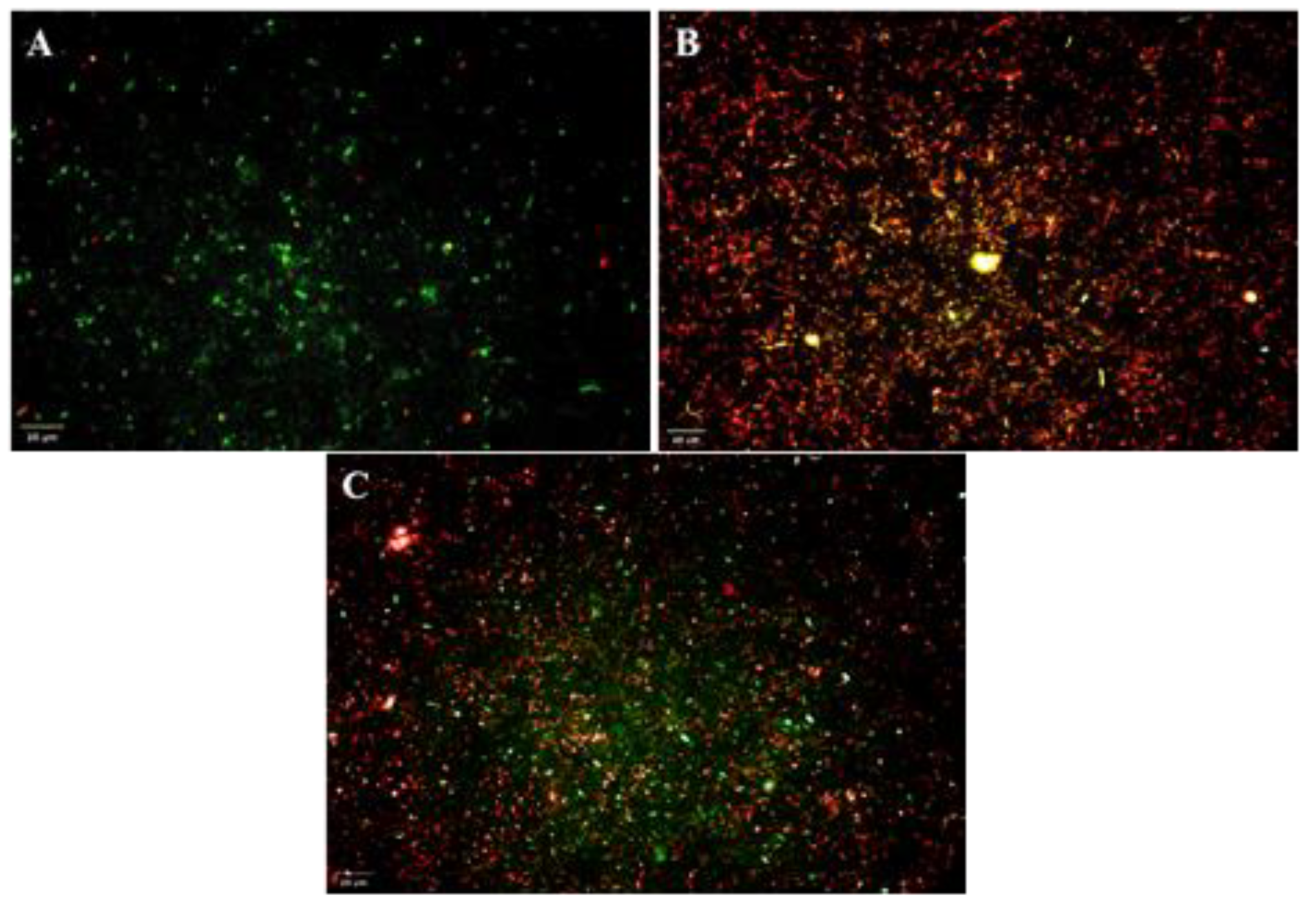 Microorganisms 10 01508 g007