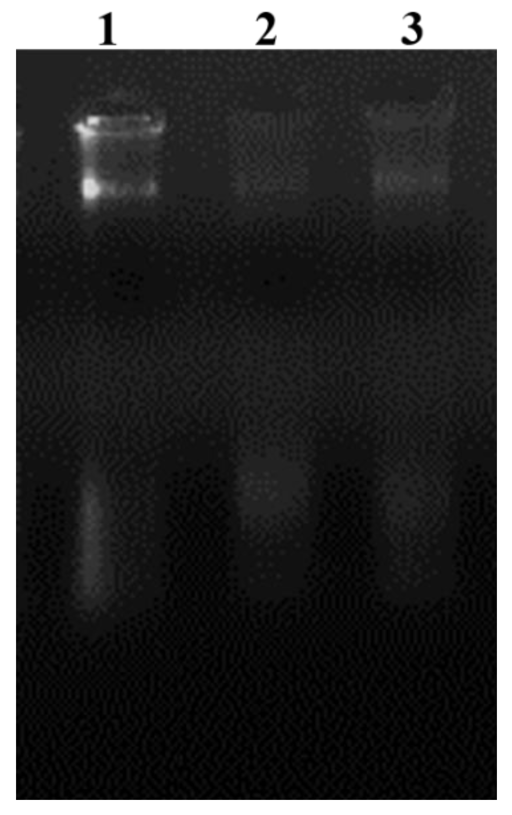 Microorganisms 10 01508 g009
