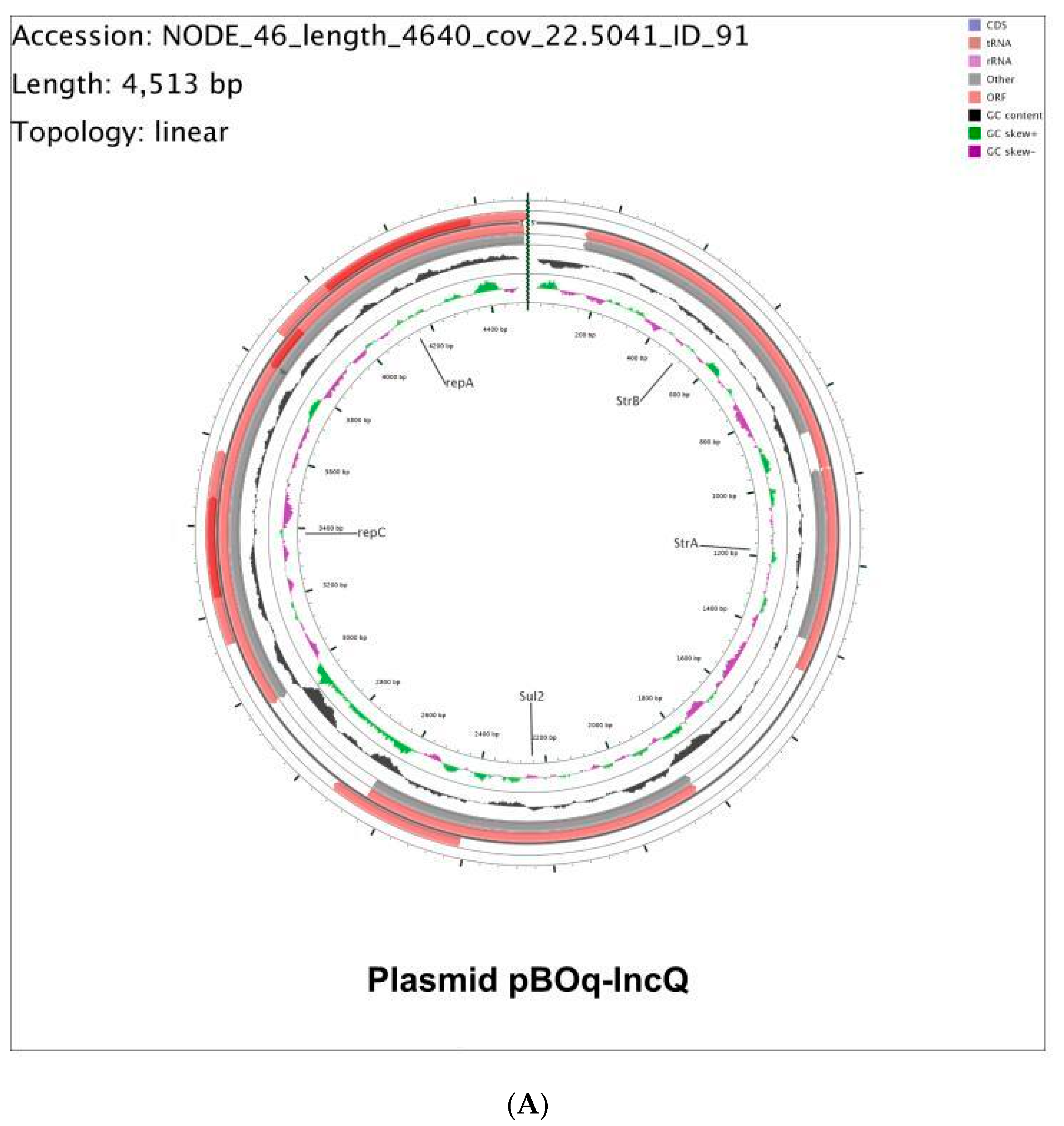 Microorganisms 10 01509 g002a Microorganisms 10 01509 g002a