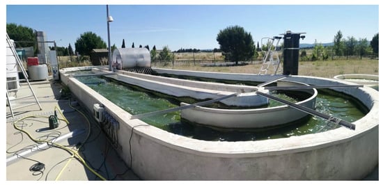 Microorganisms 10 01515 g0a1 550