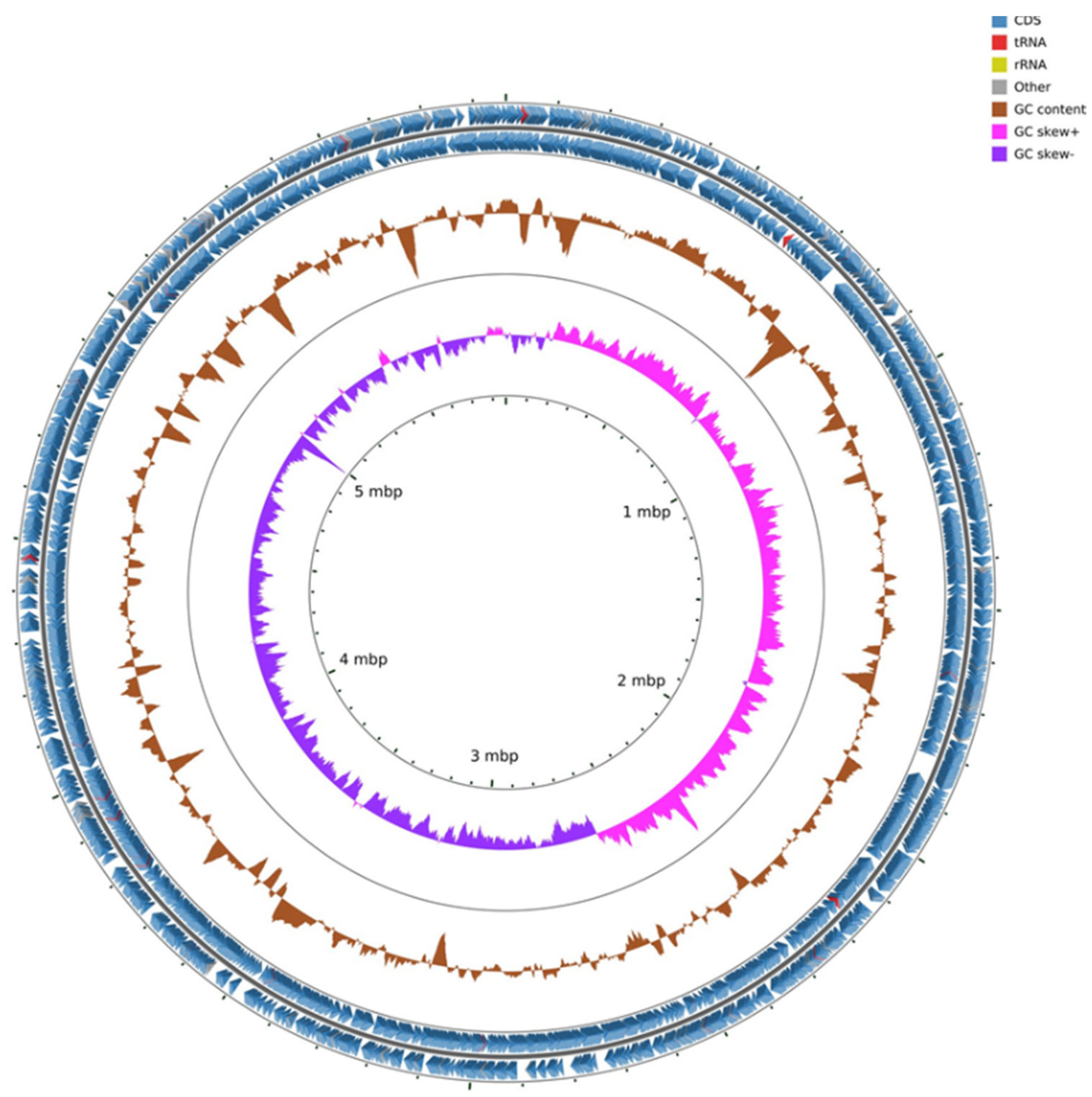 Microorganisms 10 01529 g001