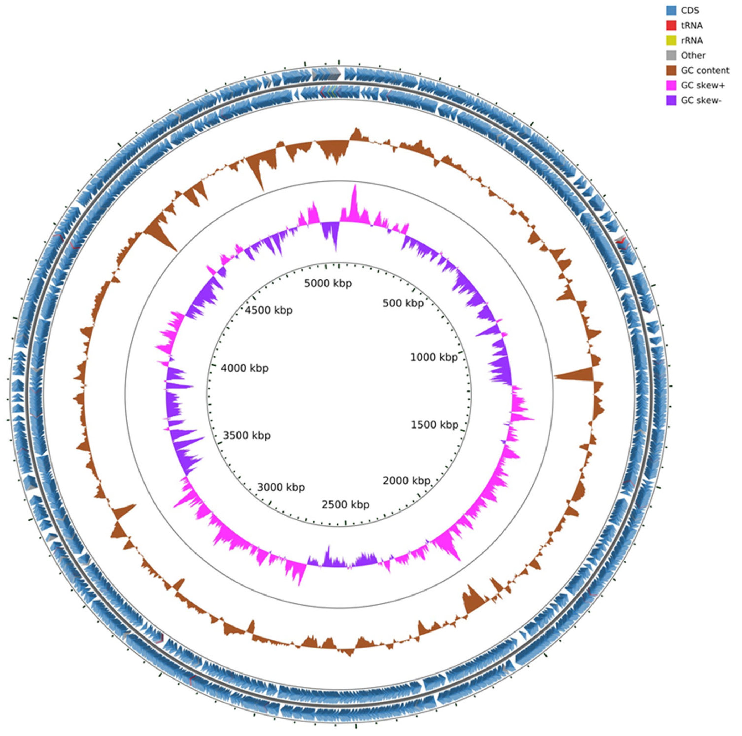 Microorganisms 10 01529 g004