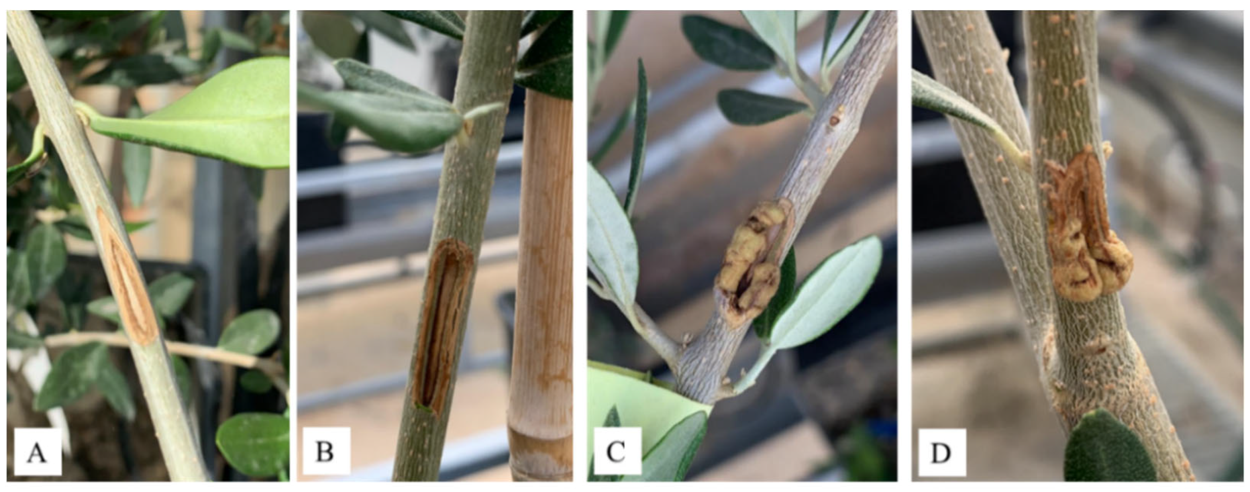 Microorganisms 10 01529 g007