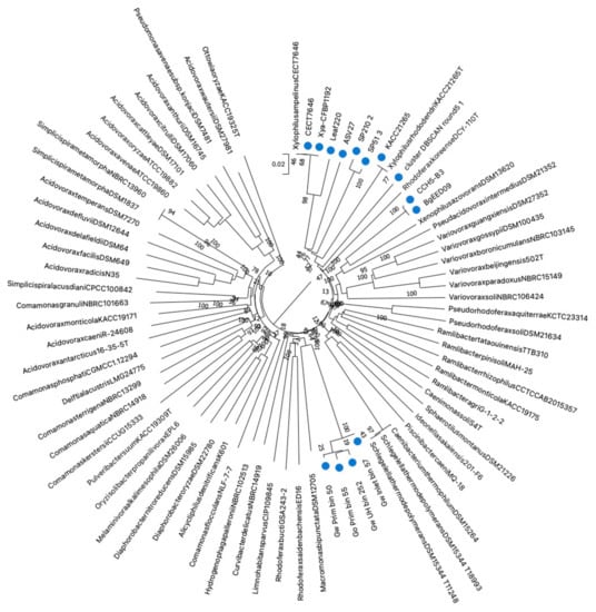 Microorganisms 10 01531 g001