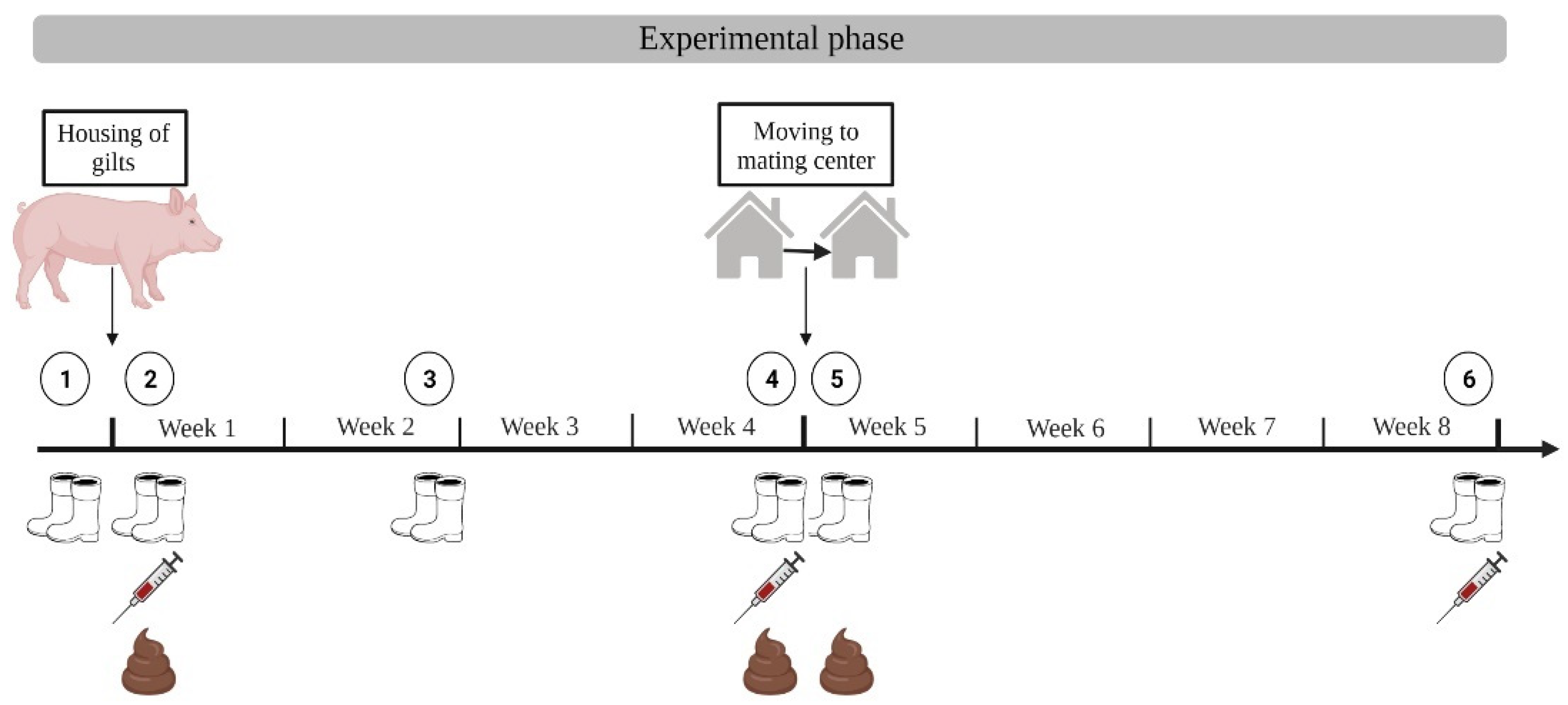 Microorganisms 10 01532 g002 Microorganisms 10 01532 g002
