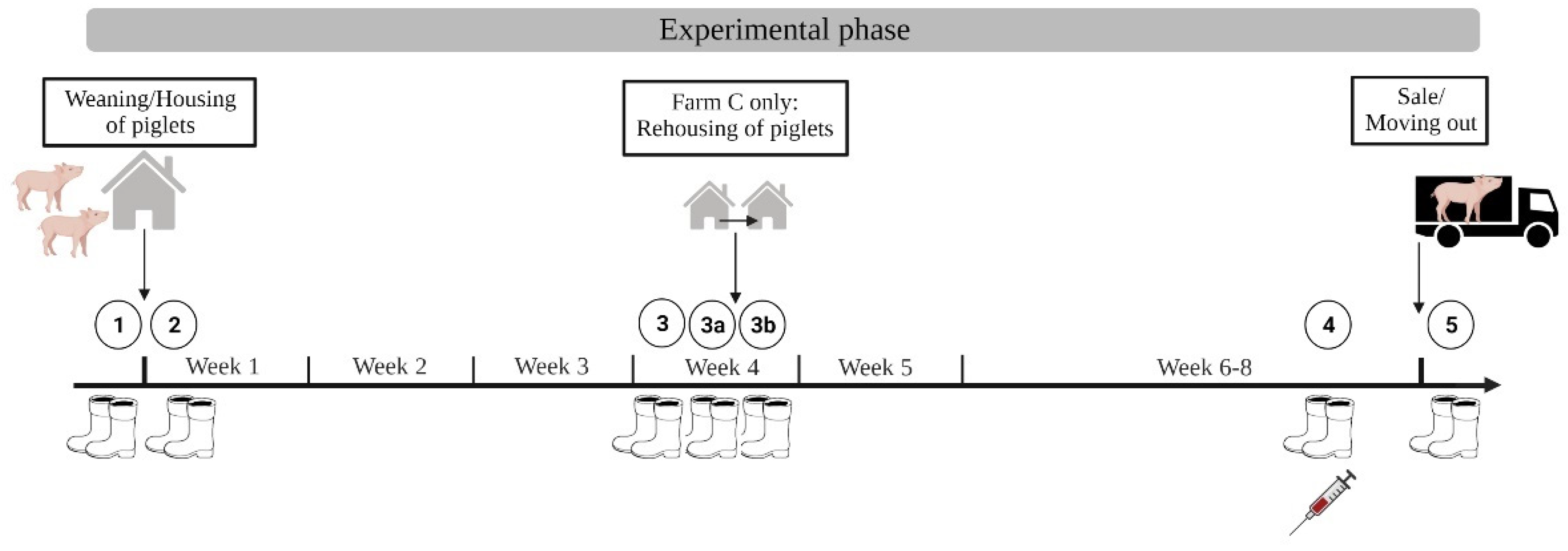 Microorganisms 10 01532 g004 Microorganisms 10 01532 g004