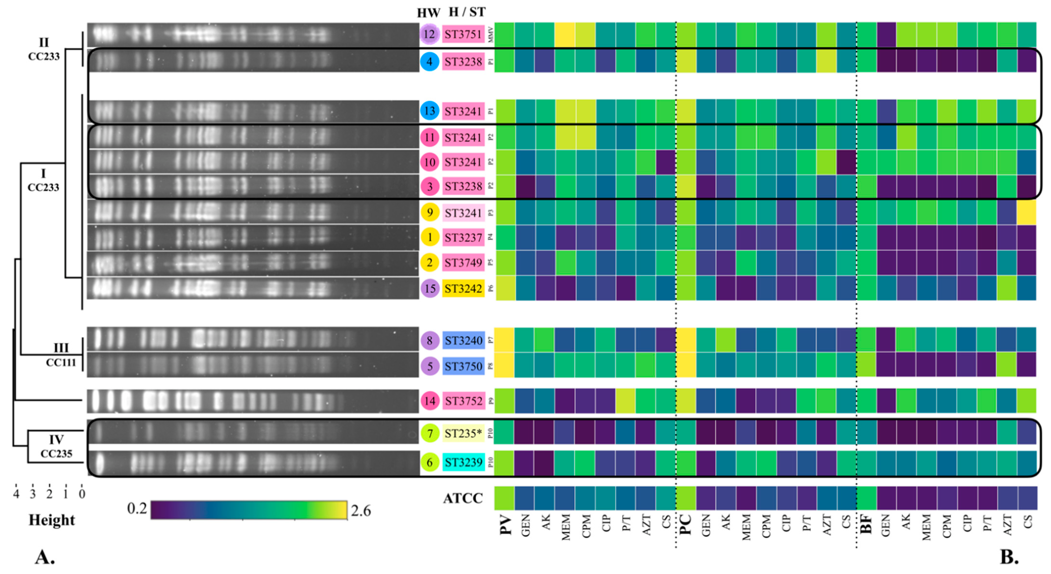 Microorganisms 10 01533 g002