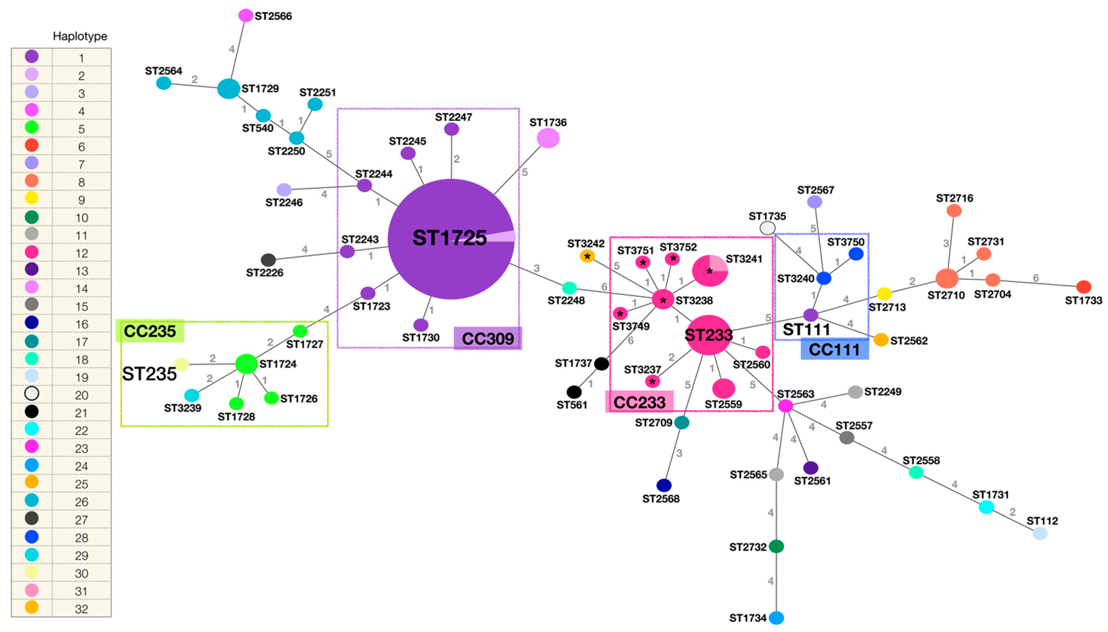 Microorganisms 10 01533 g003