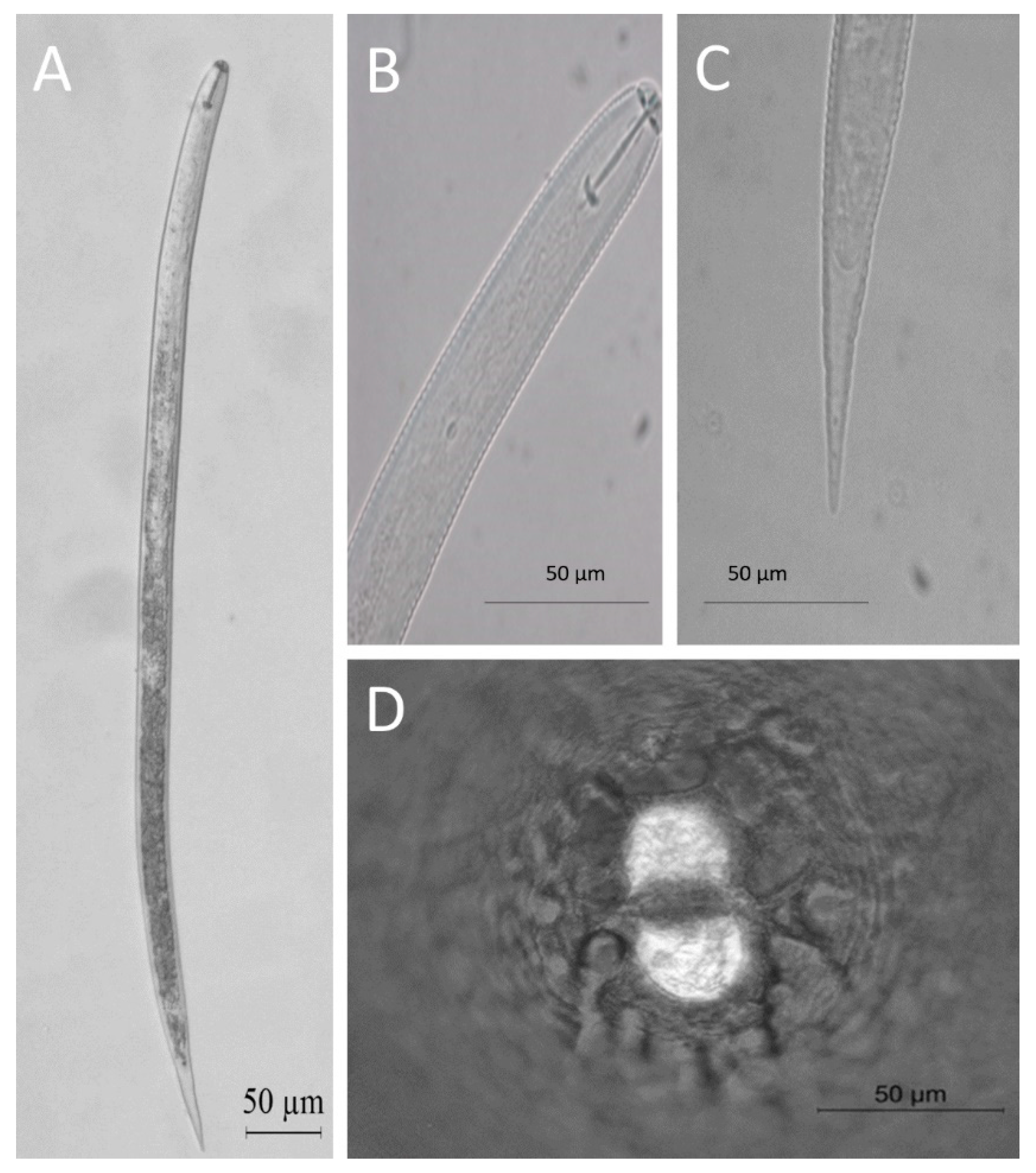 Microorganisms 10 01534 g002