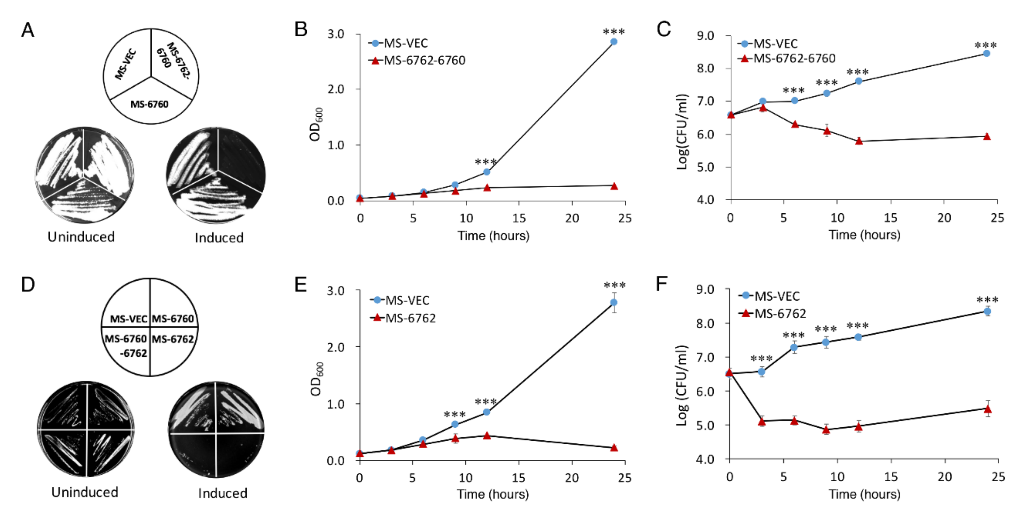 Microorganisms 10 01535 g001
