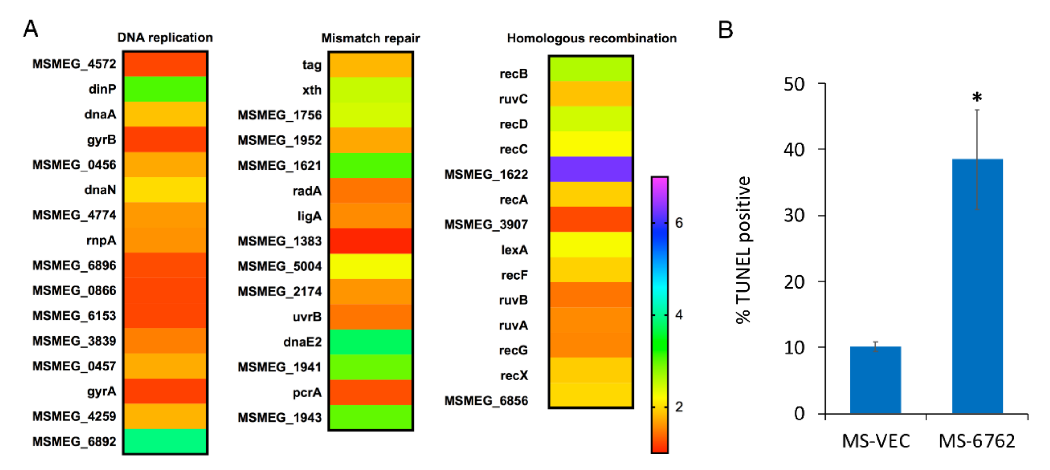 Microorganisms 10 01535 g003