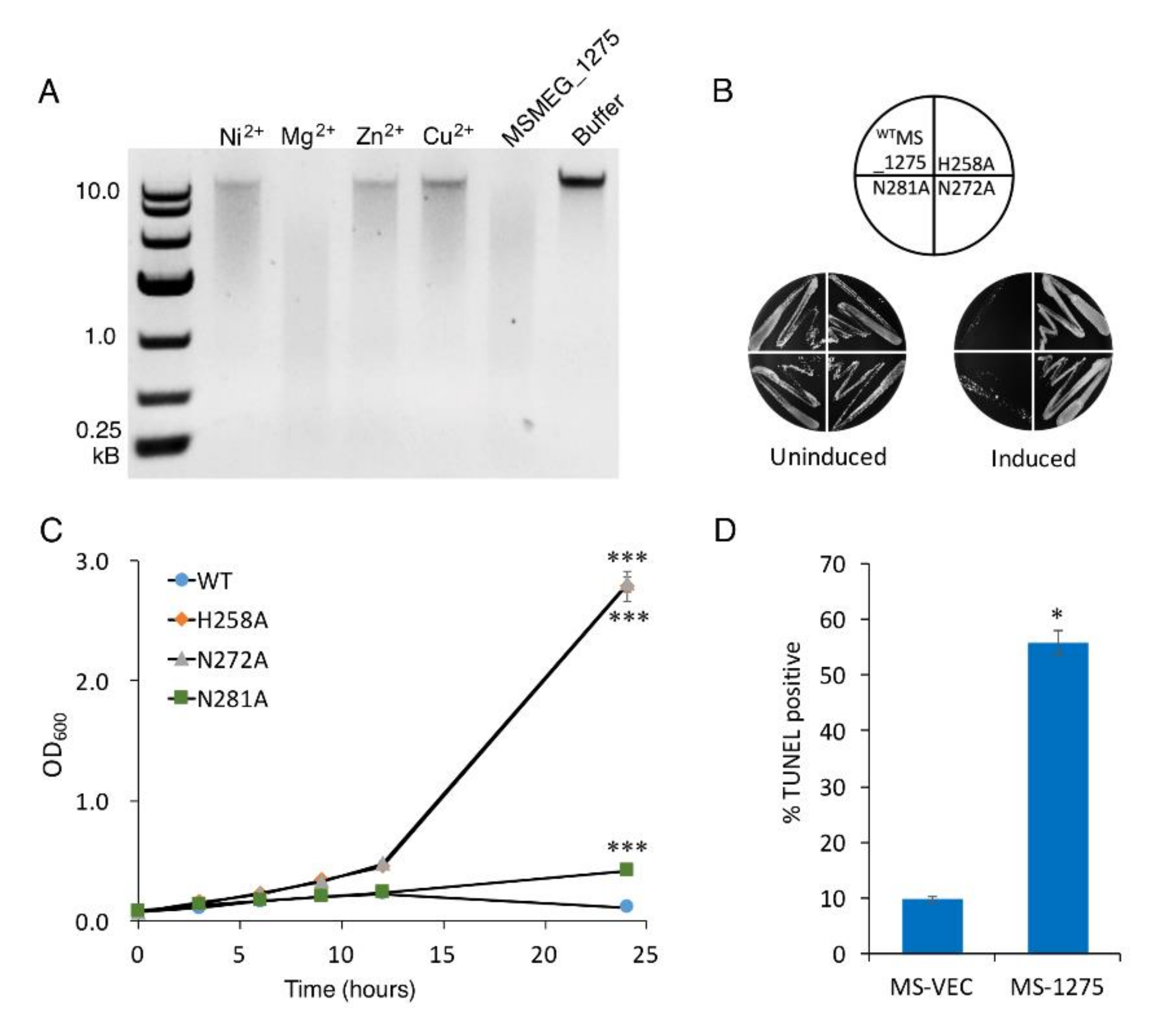 Microorganisms 10 01535 g005