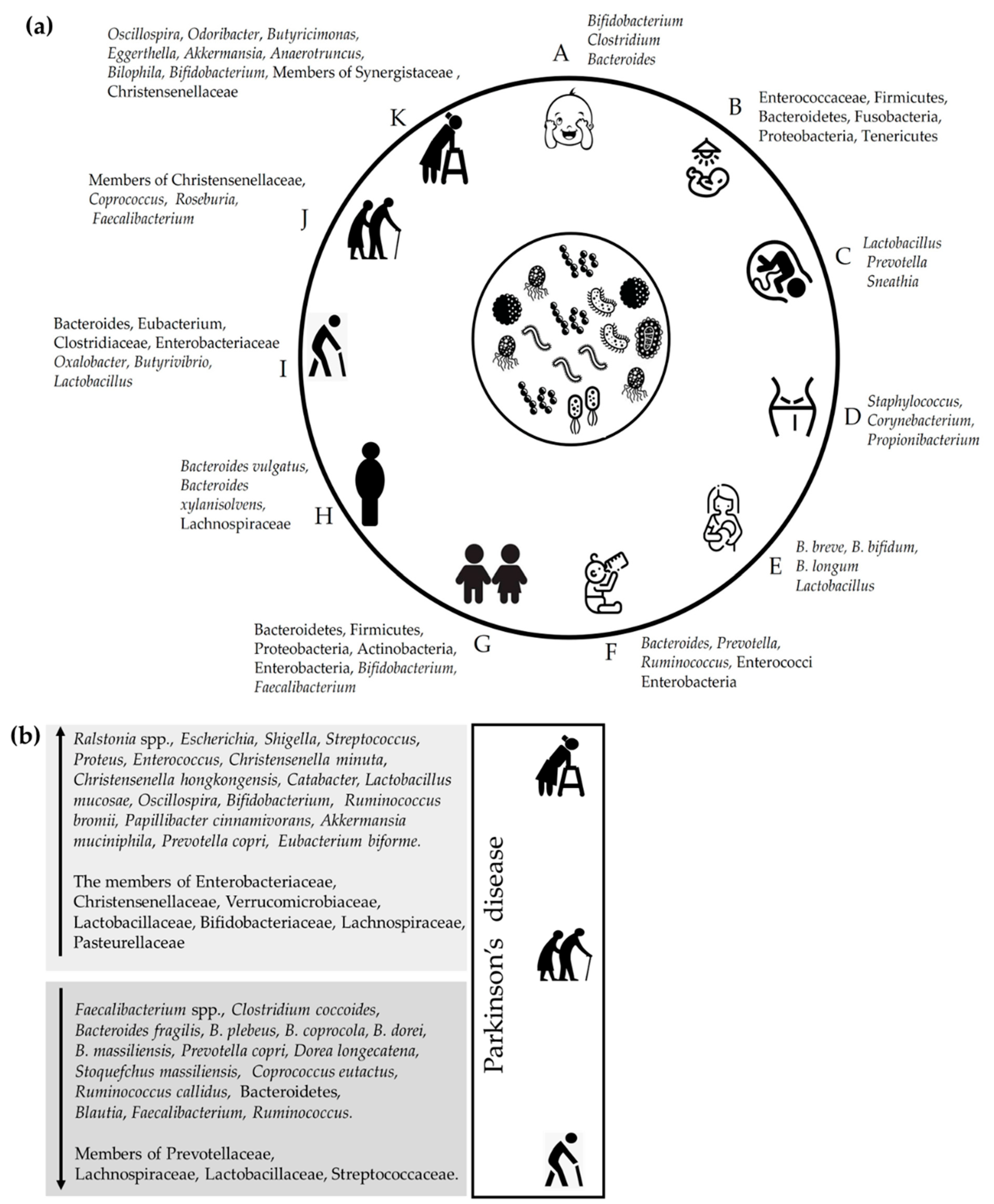 Microorganisms 10 01544 g001