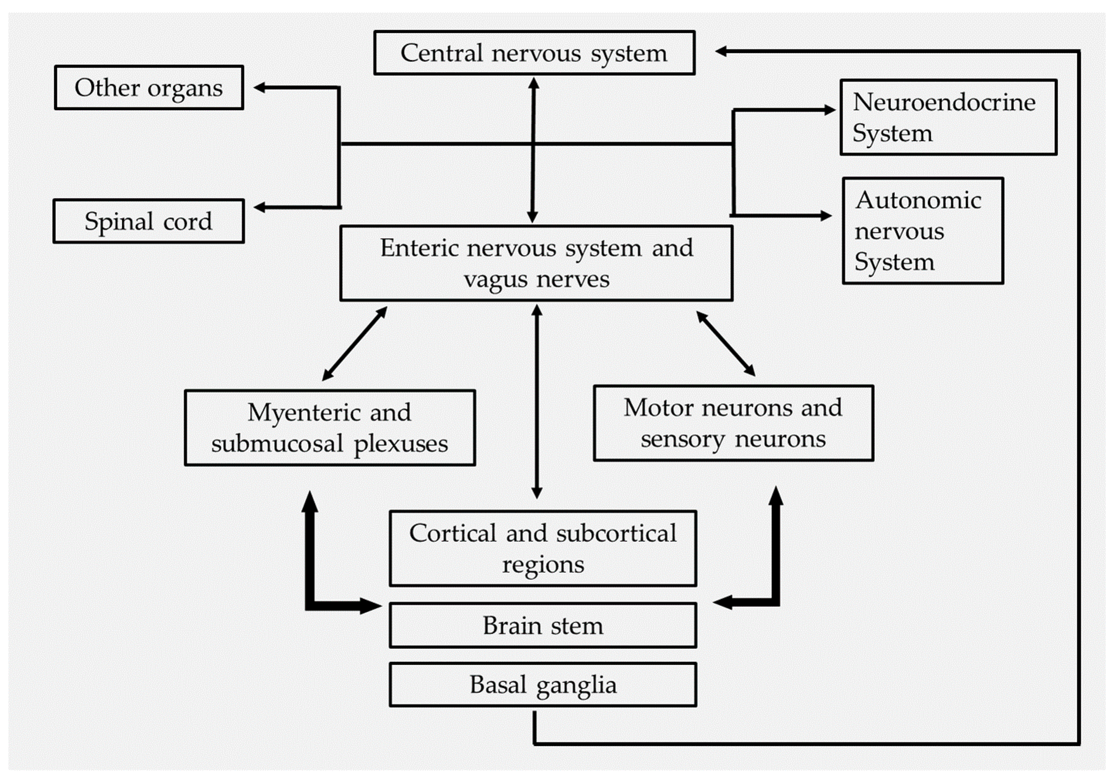 Microorganisms 10 01544 g002
