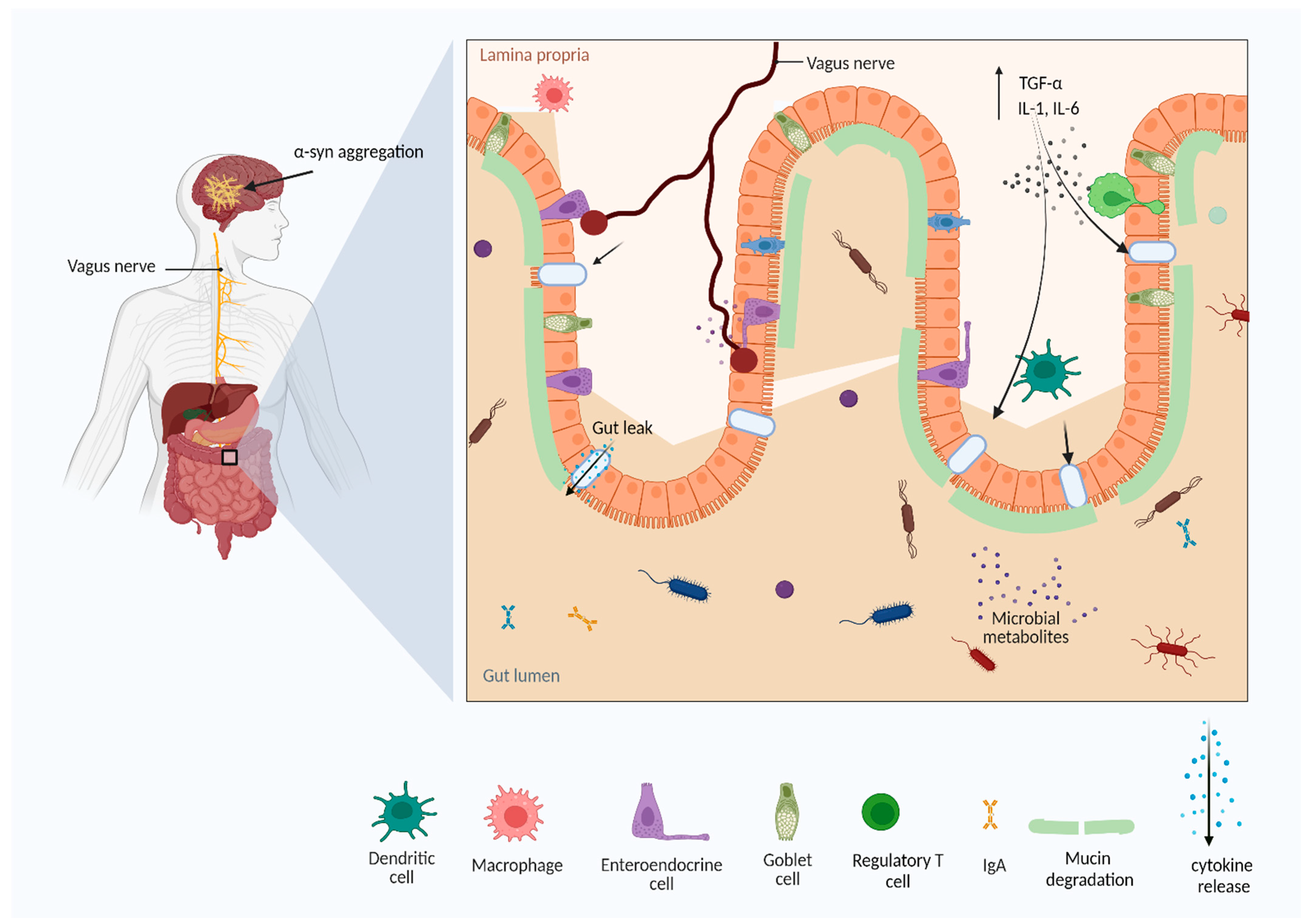 Microorganisms 10 01544 g003