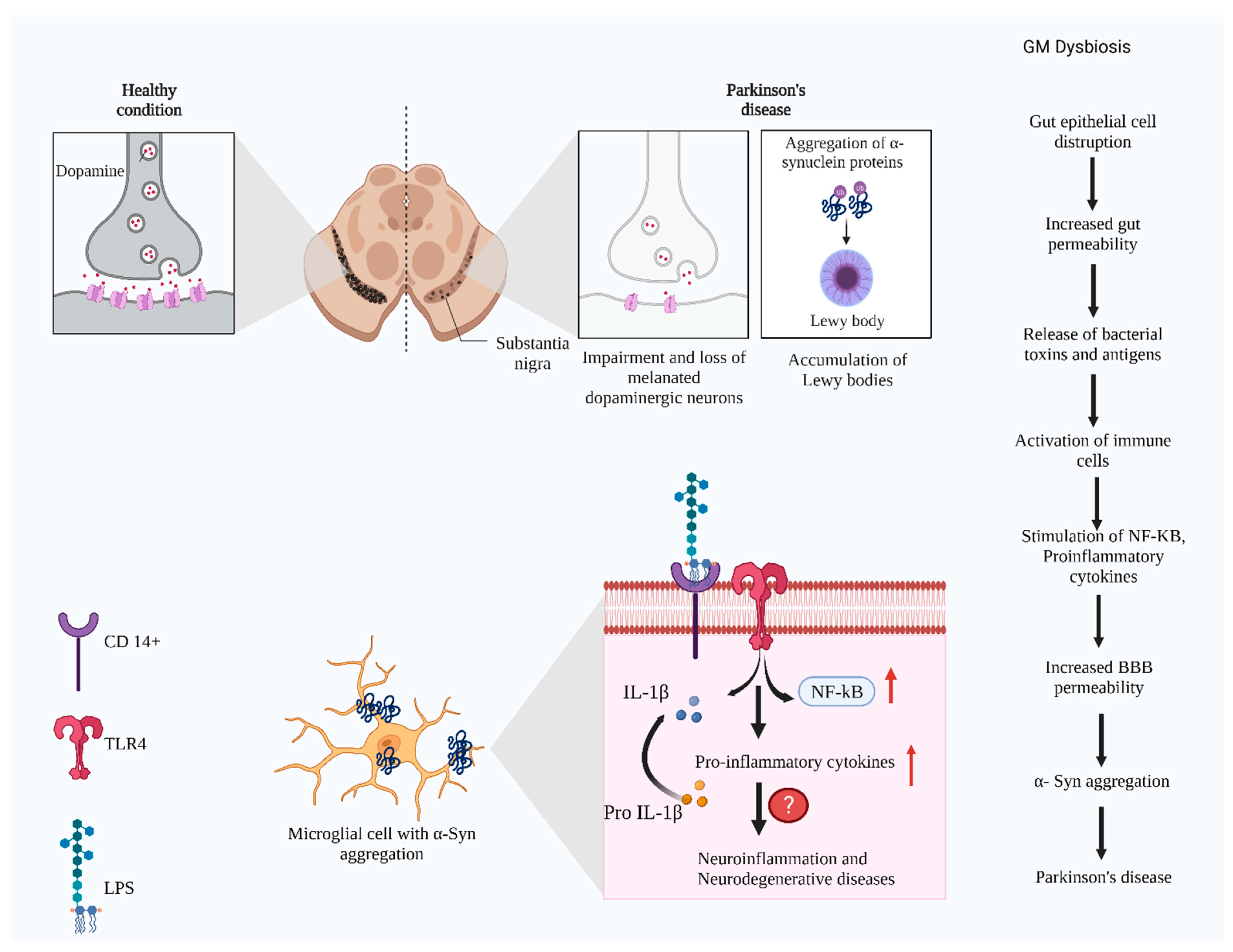 Microorganisms 10 01544 g004
