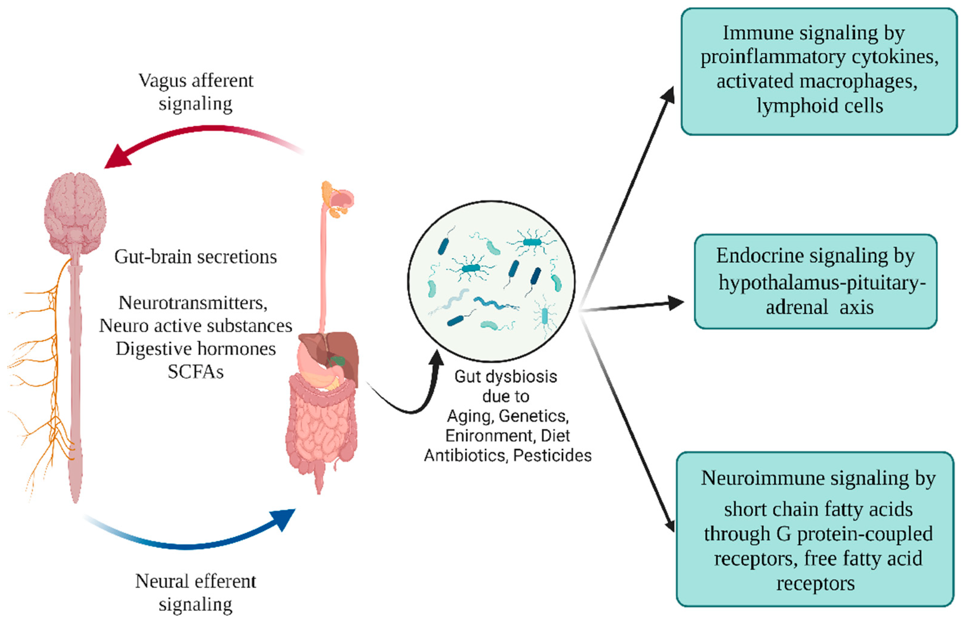Microorganisms 10 01544 g005