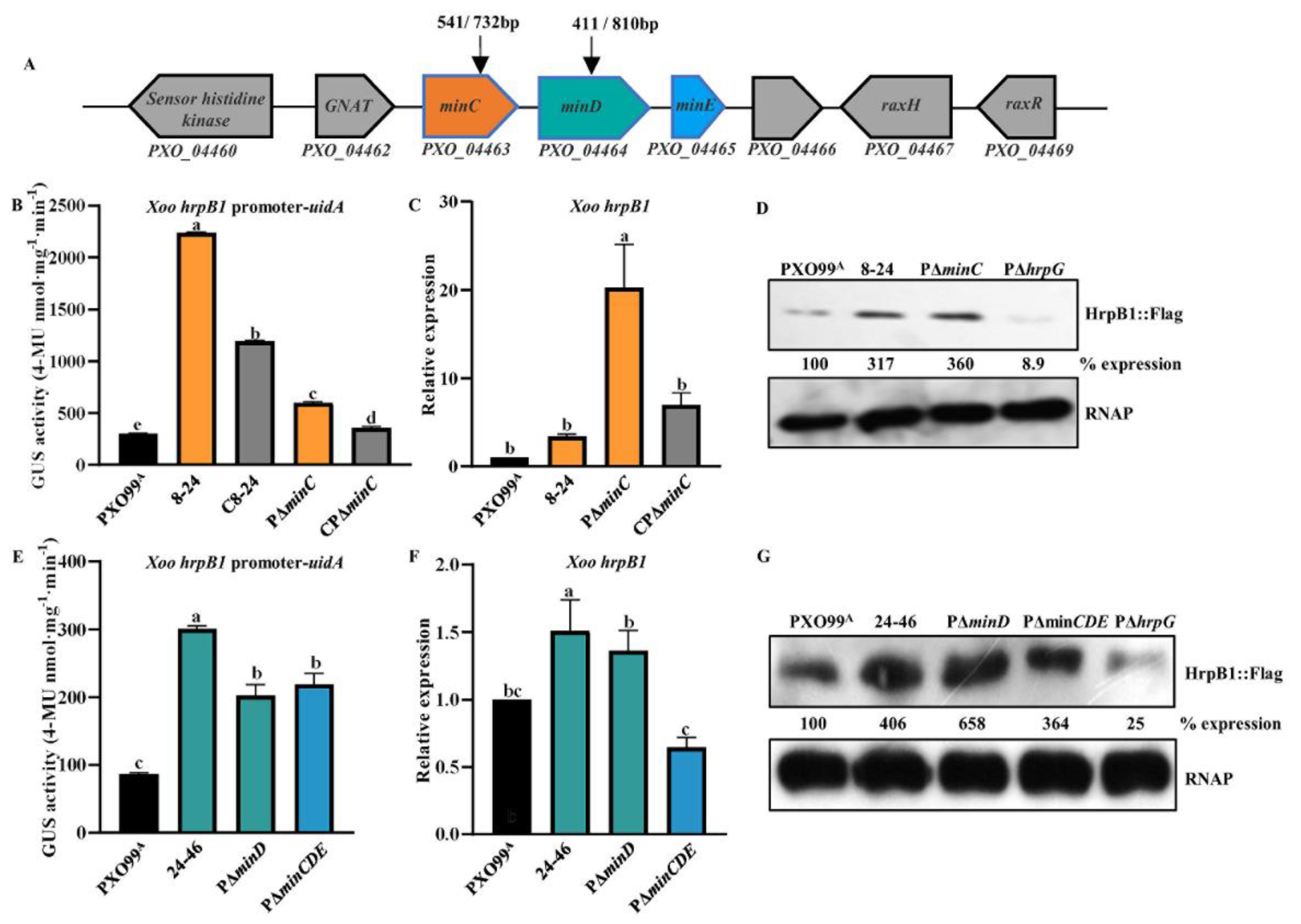 Microorganisms 10 01549 g001