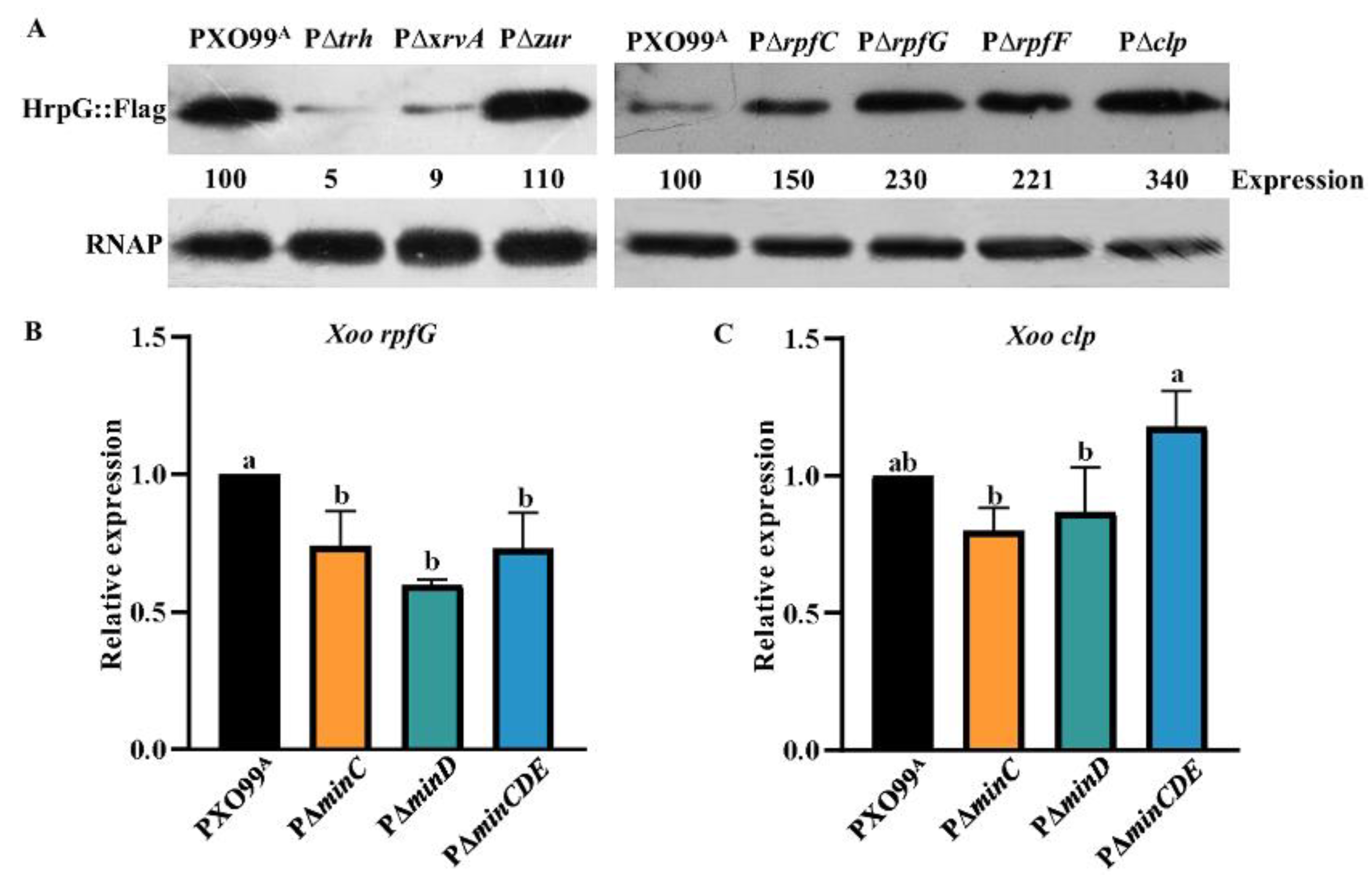 Microorganisms 10 01549 g003