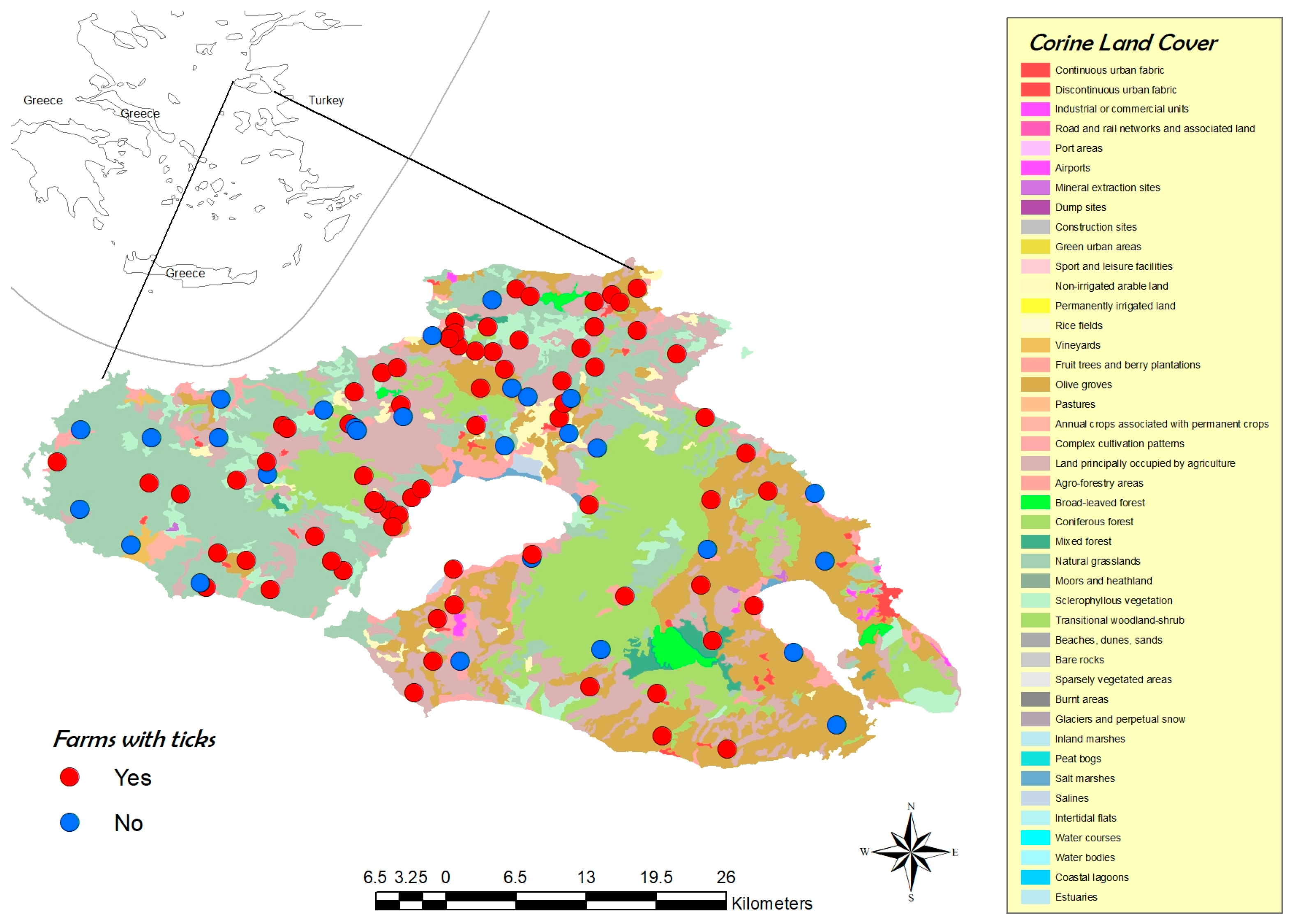 Microorganisms 10 01551 g001
