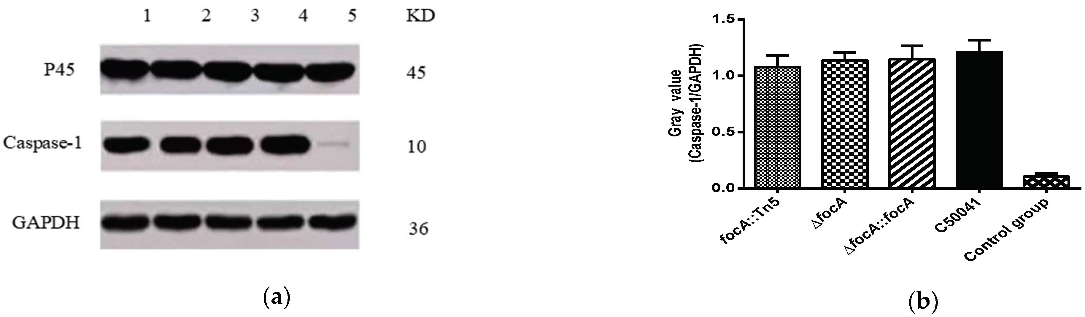 Microorganisms 10 01557 g008 Microorganisms 10 01557 g008