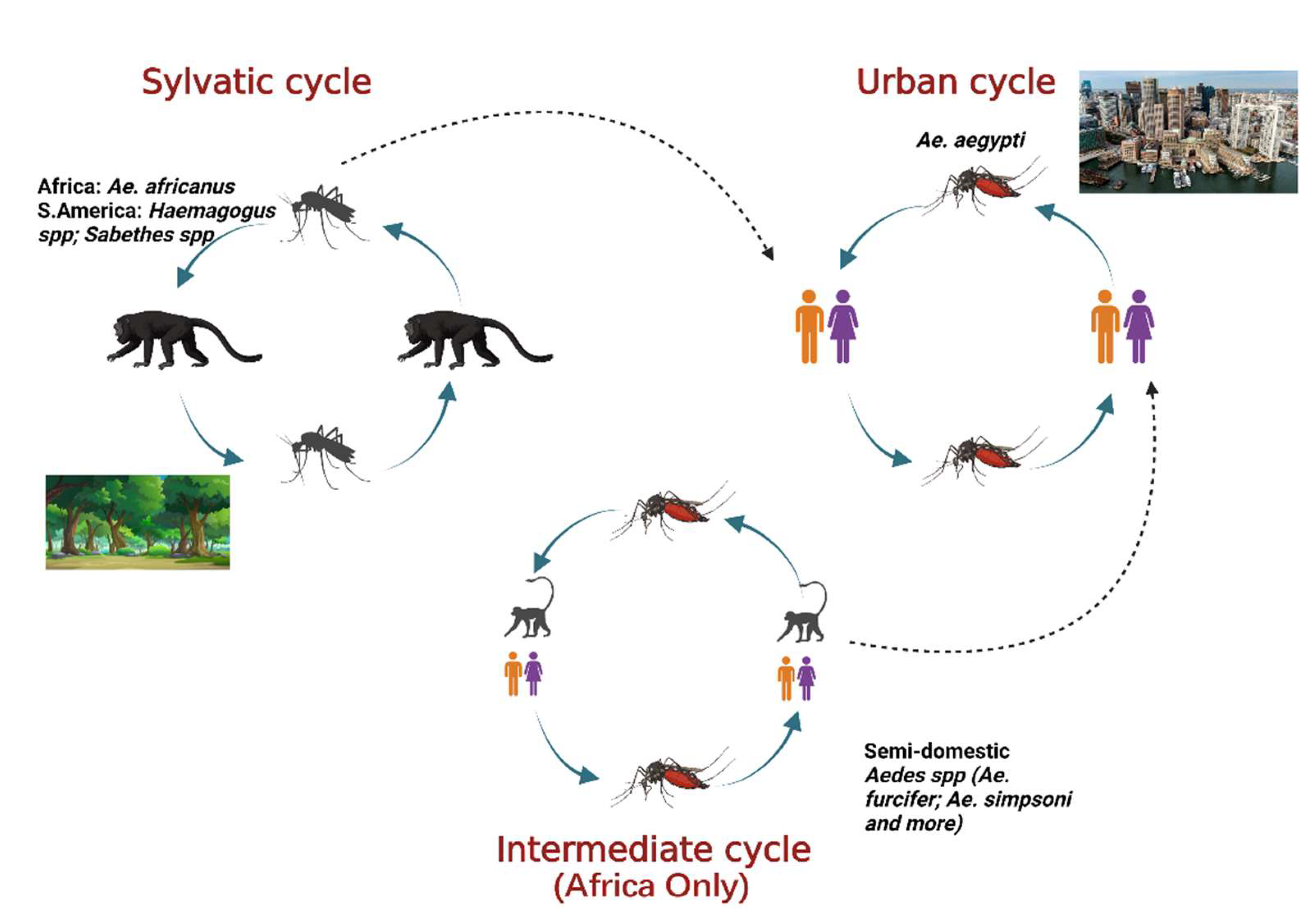 Microorganisms 10 01578 g001