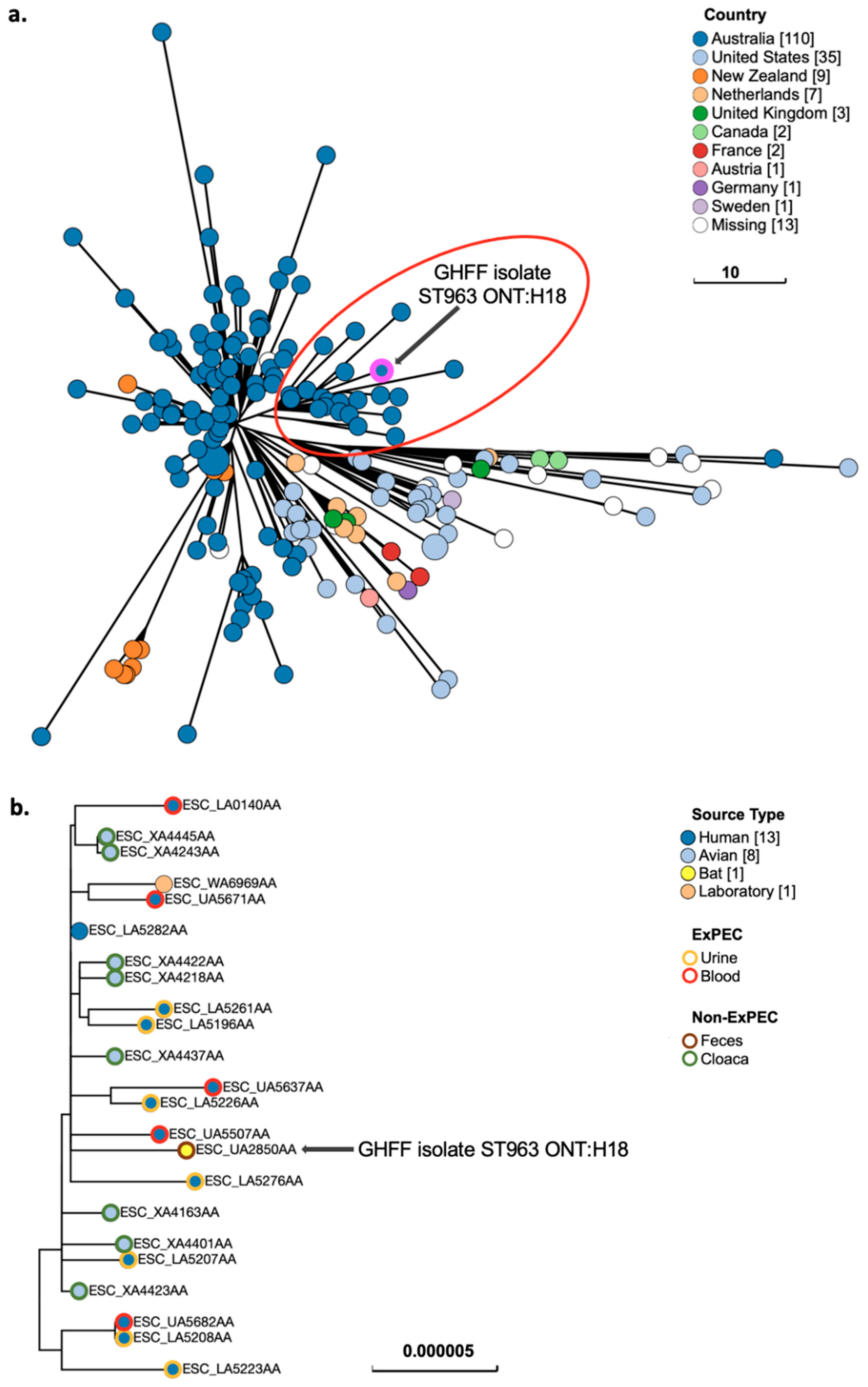 Microorganisms 10 01589 g003