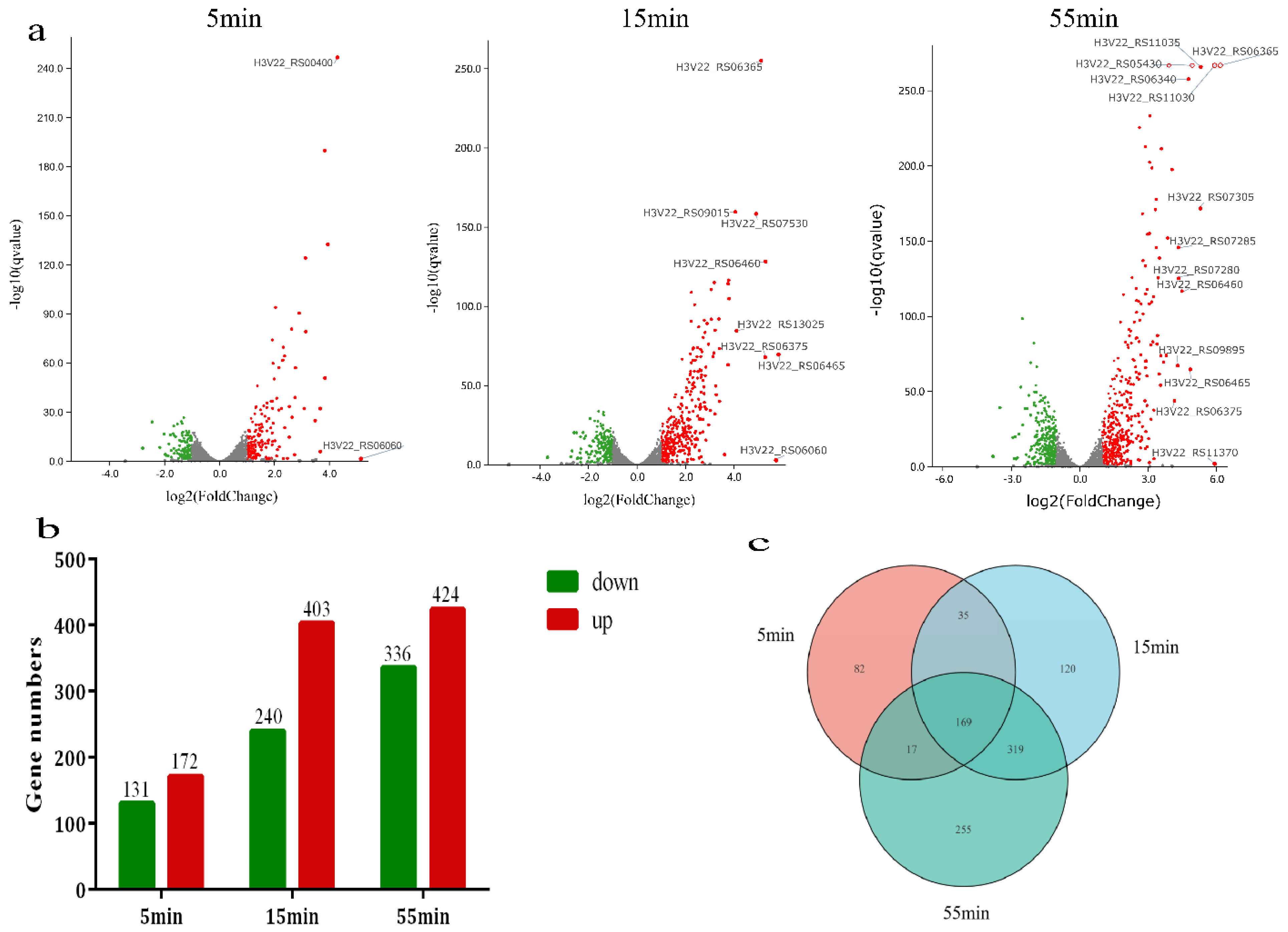 Microorganisms 10 01590 g003