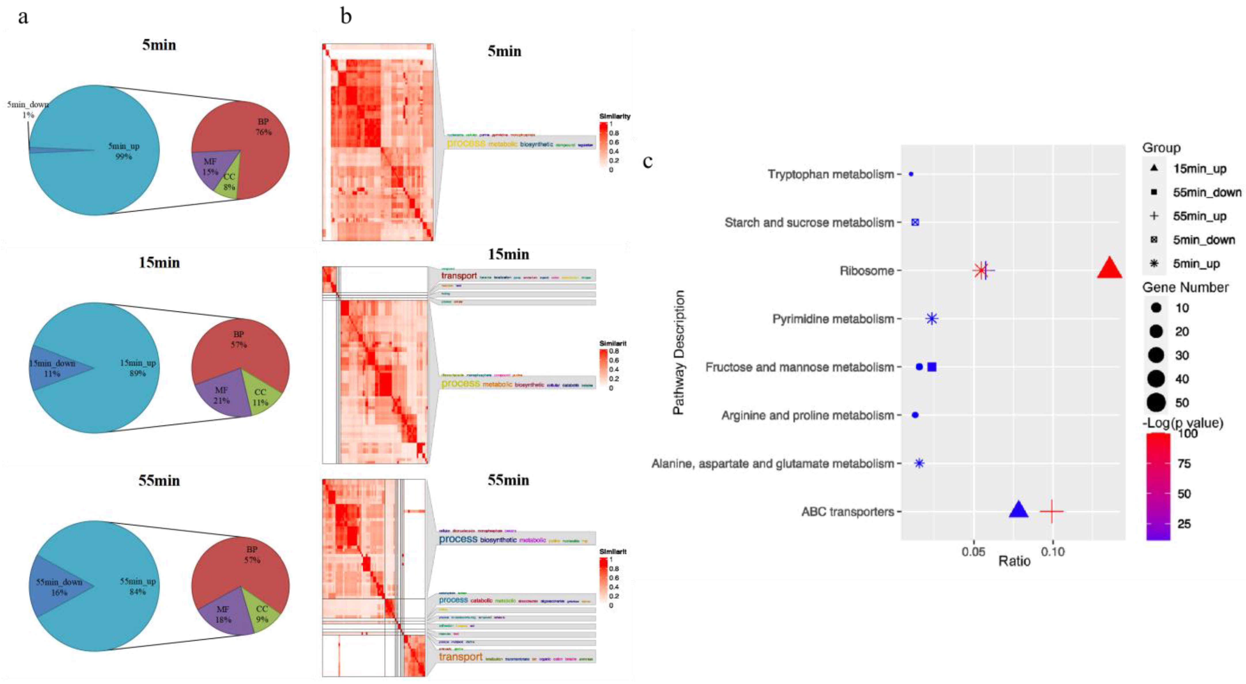 Microorganisms 10 01590 g004