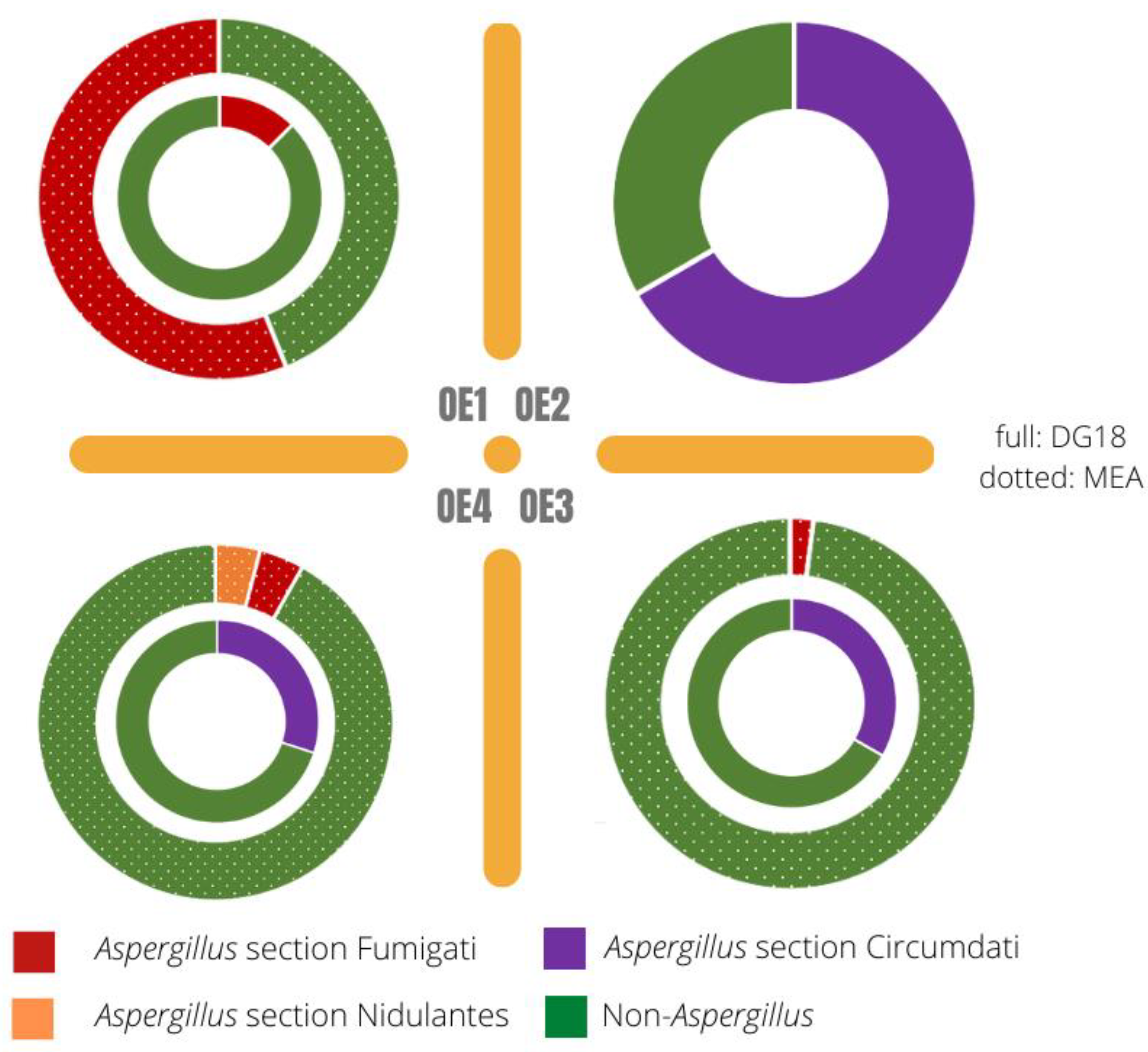 Microorganisms 10 01595 g006