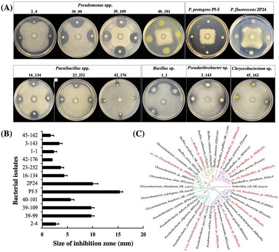 Microorganisms 10 01596 g001