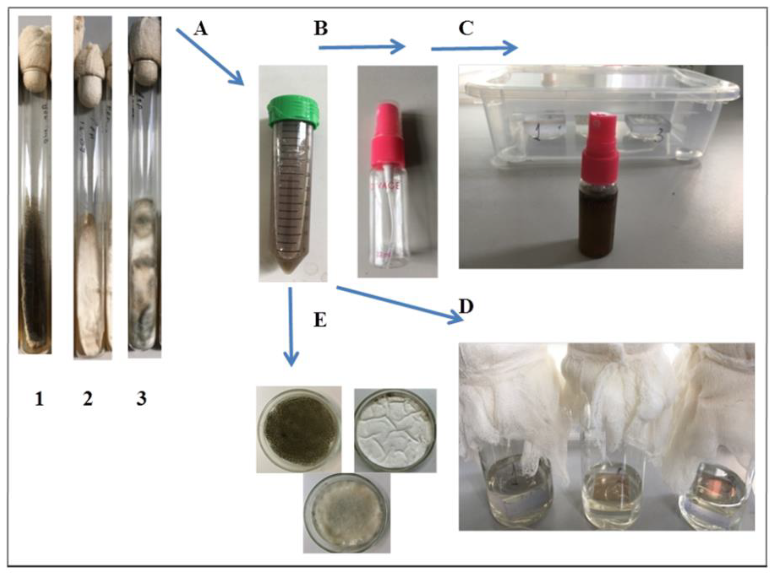 Microorganisms 10 01597 g003