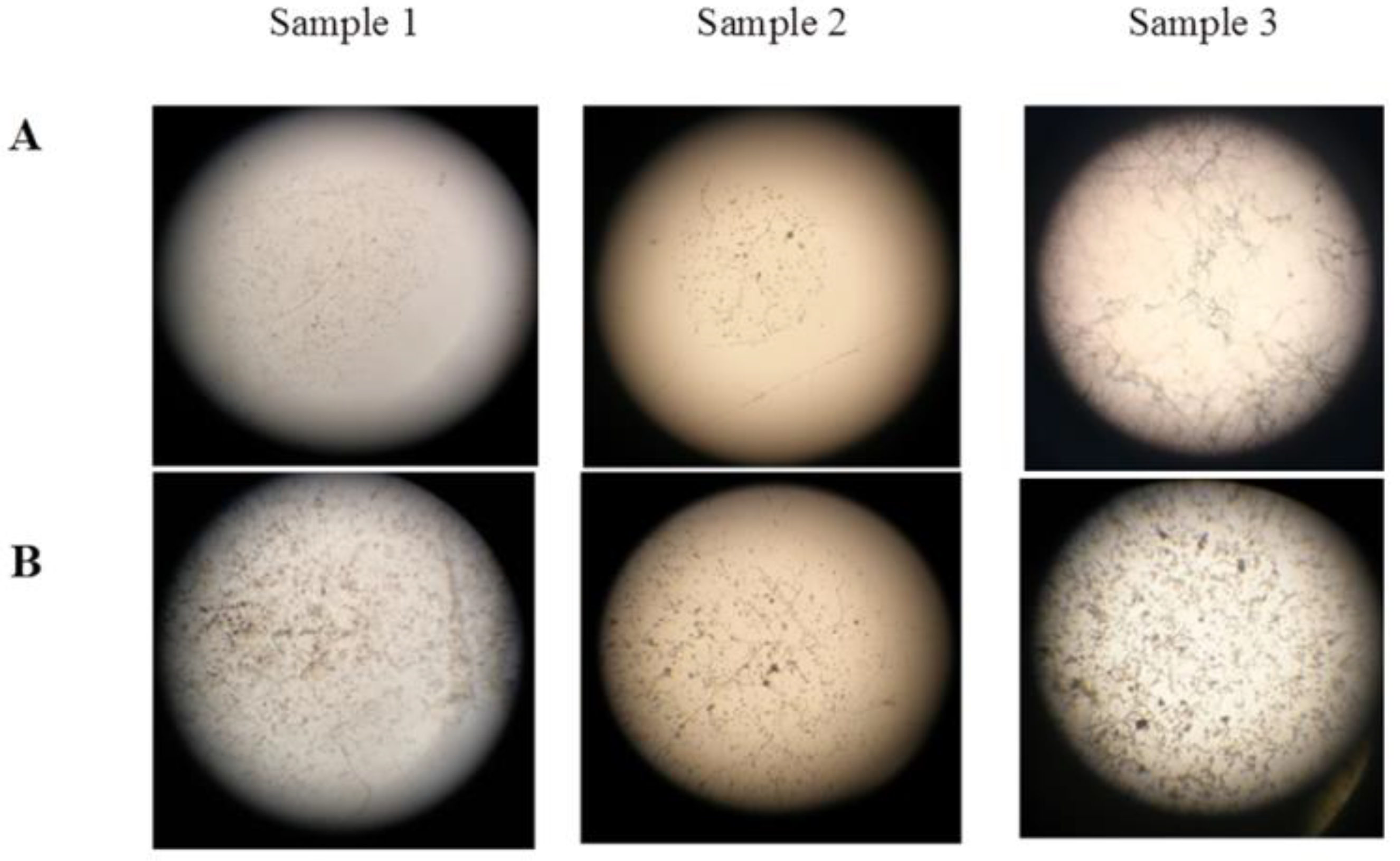 Microorganisms 10 01597 g004