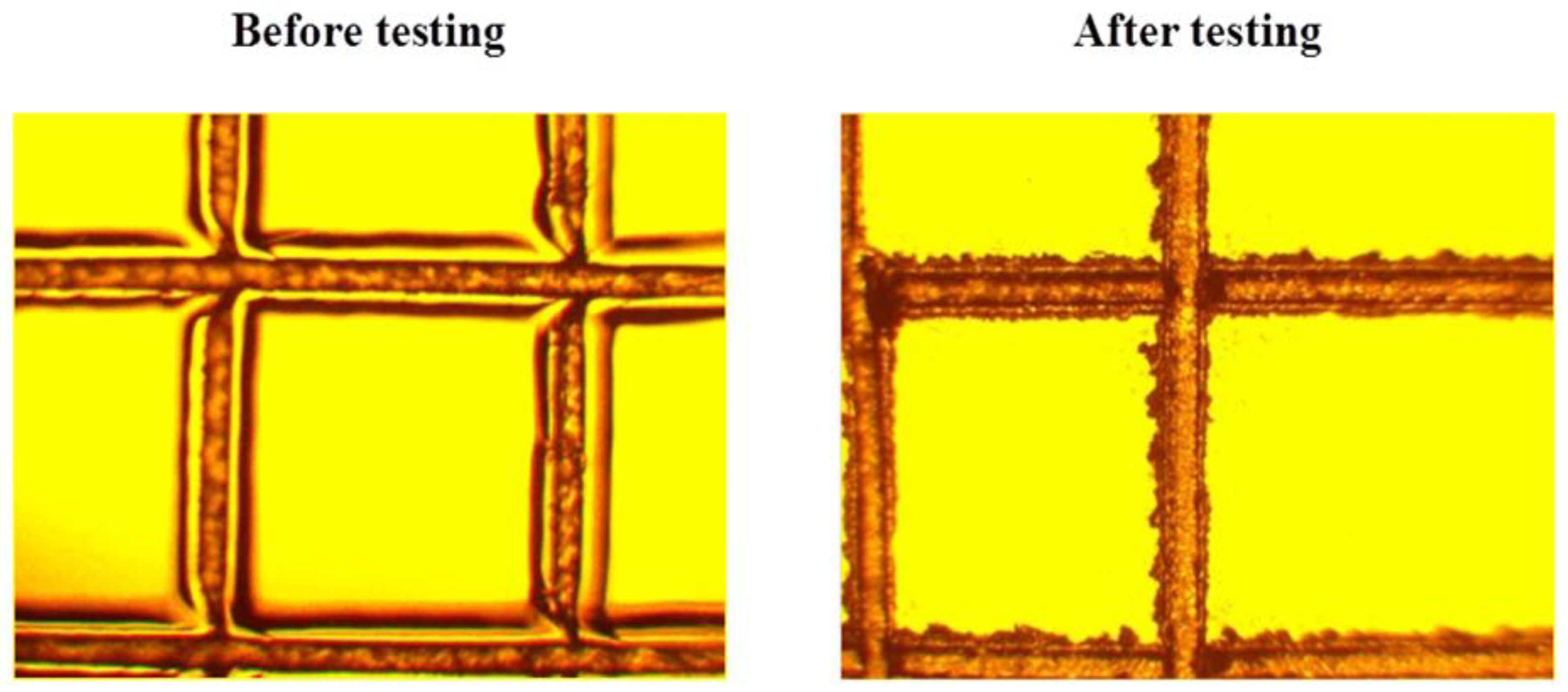 Microorganisms 10 01597 g007