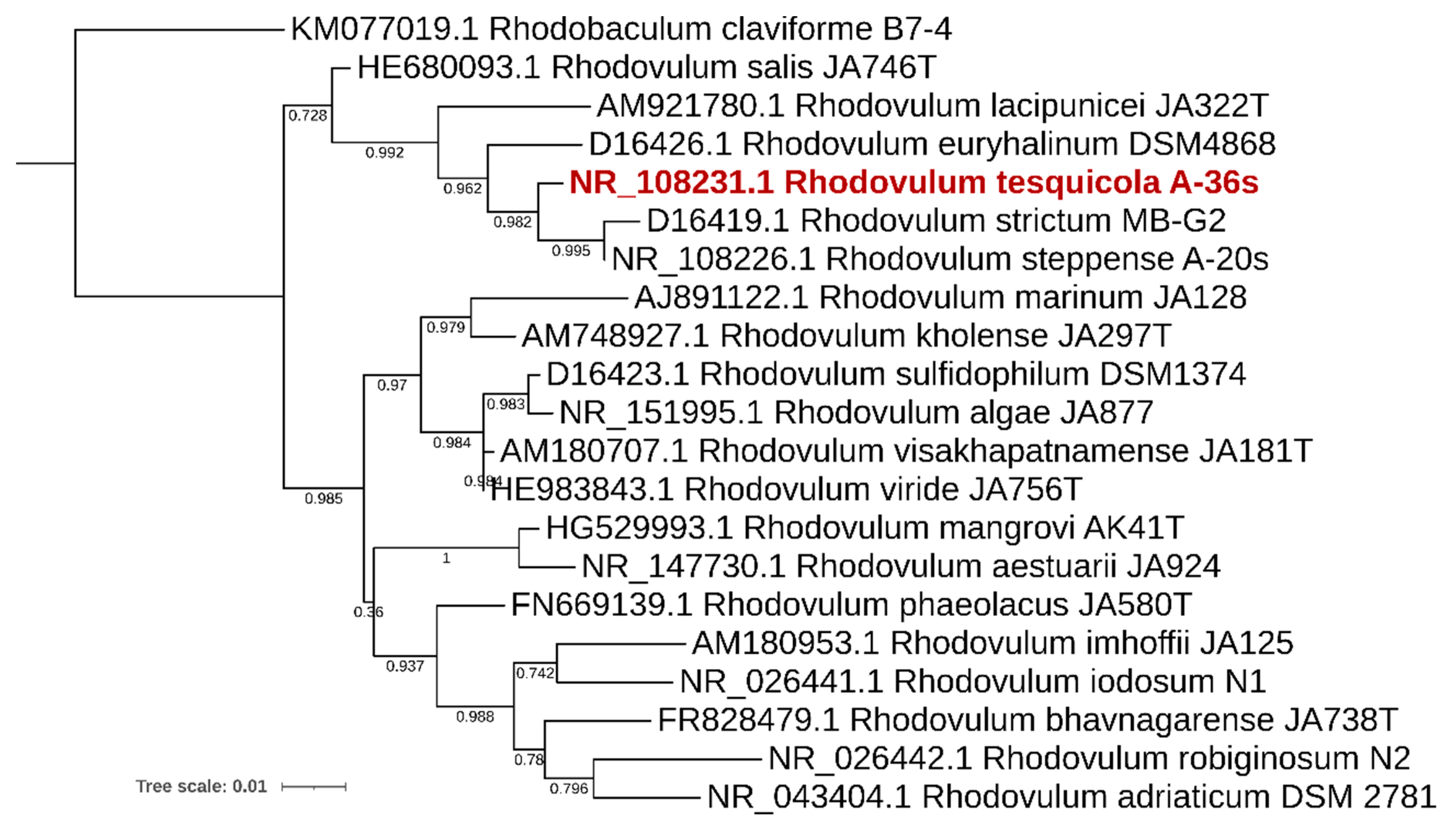 Microorganisms 10 01615 g001 Microorganisms 10 01615 g001