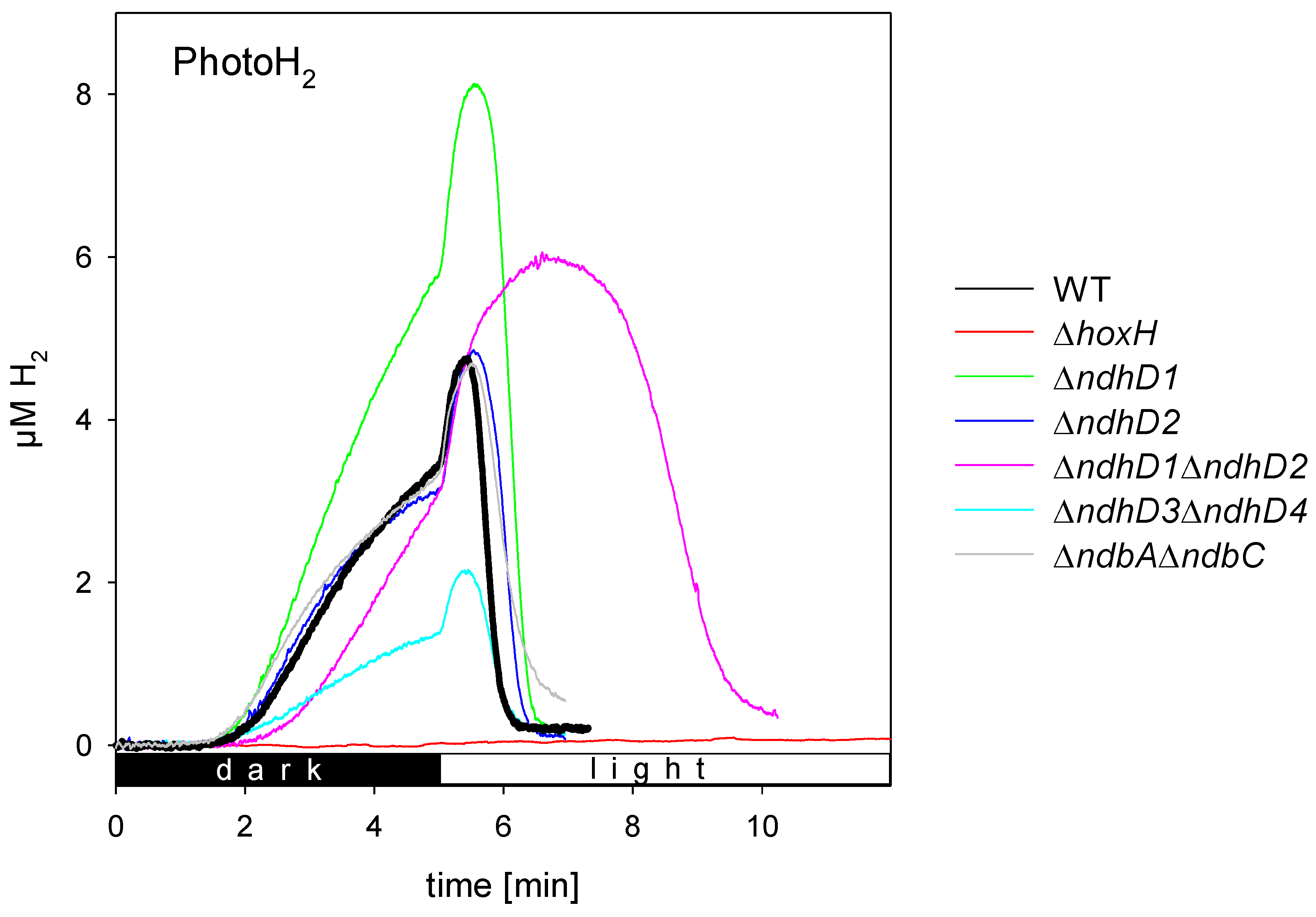 Microorganisms 10 01617 g003