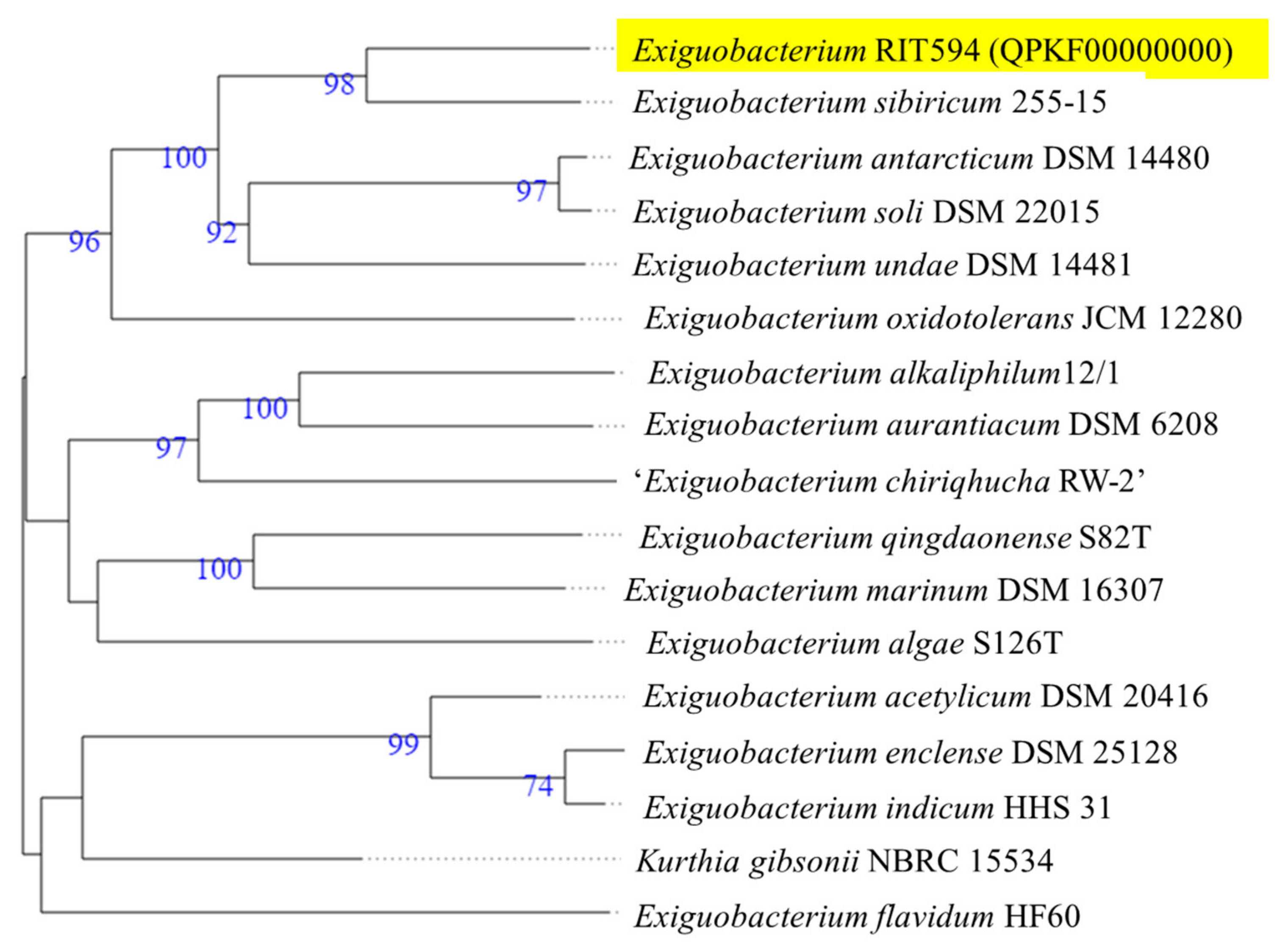 Microorganisms 10 01619 g001 Microorganisms 10 01619 g001