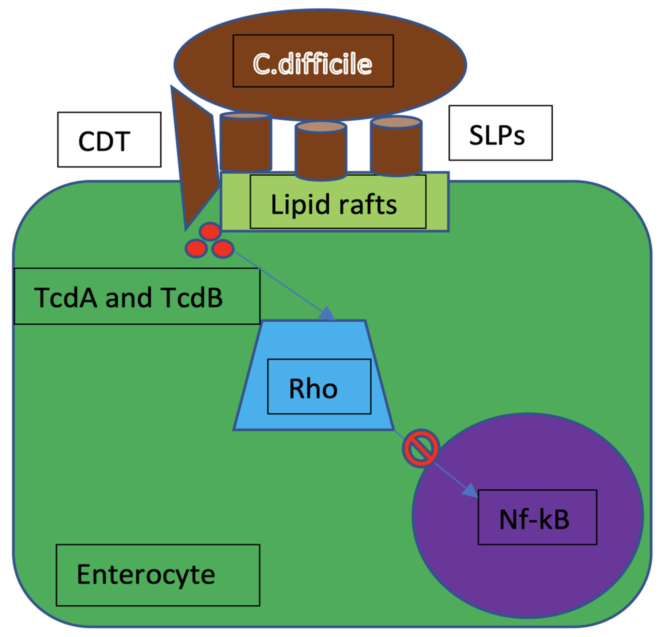 Microorganisms 10 01624 g001