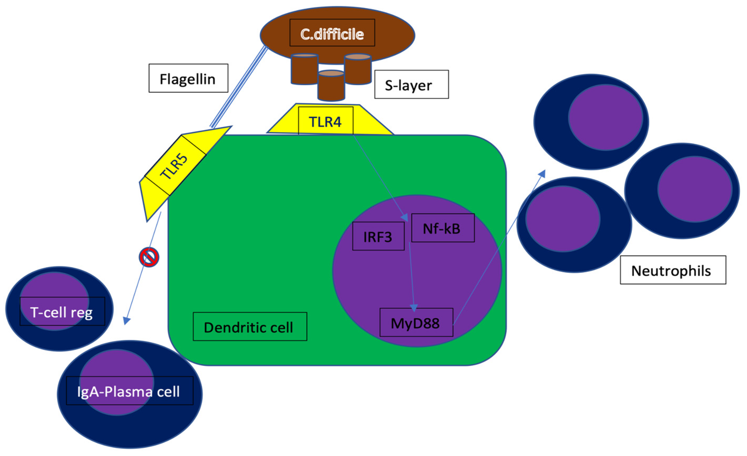 Microorganisms 10 01624 g002