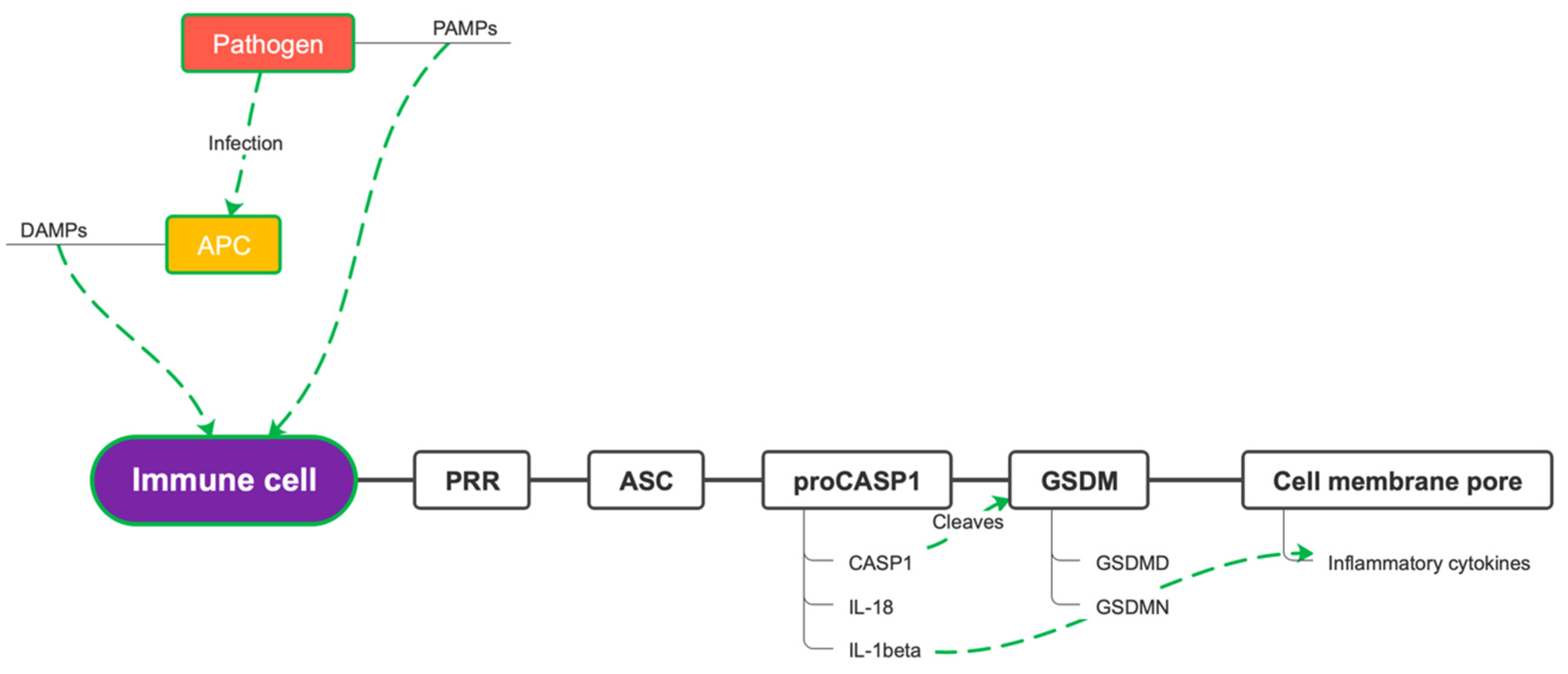 Microorganisms 10 01624 g003