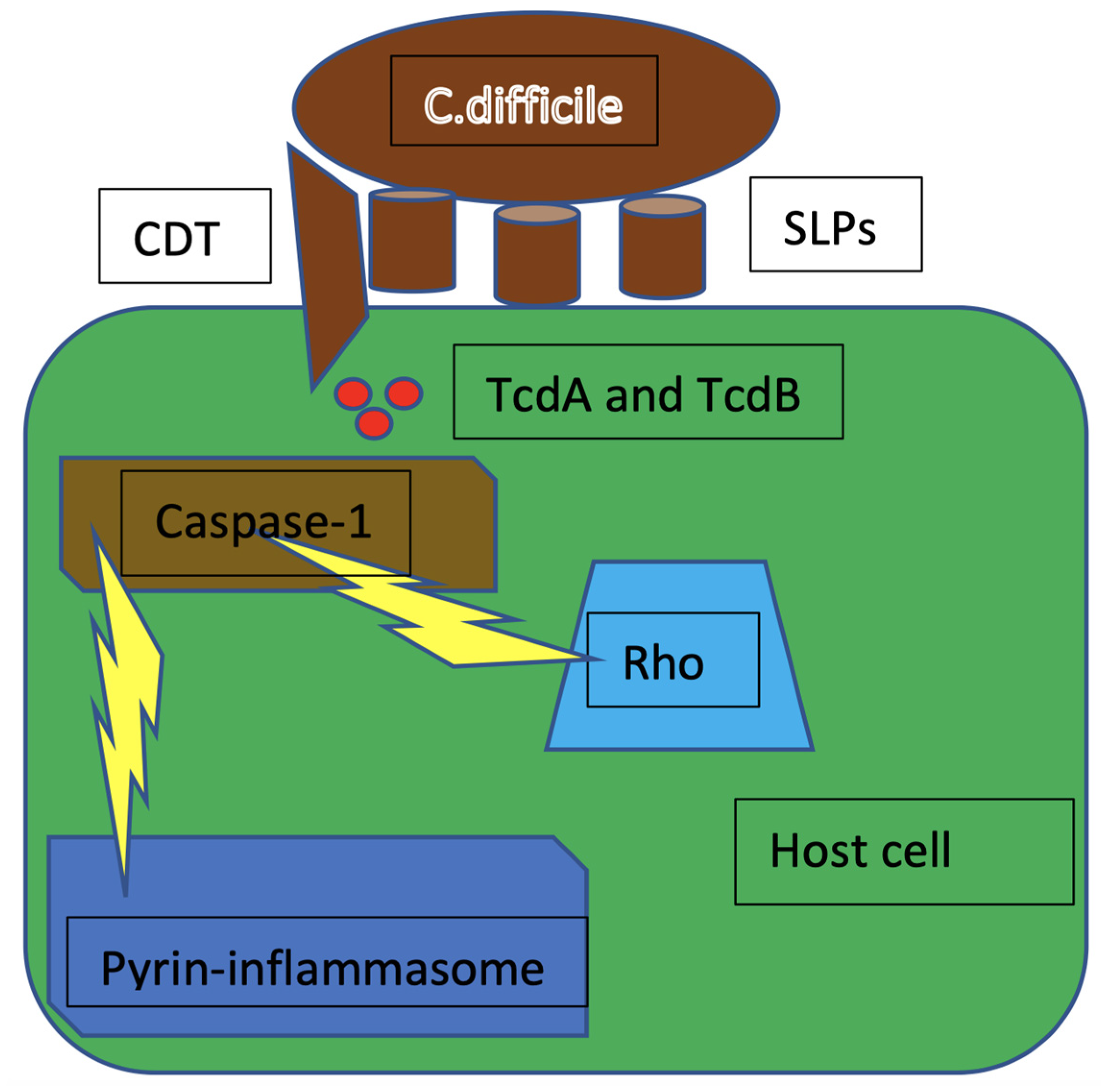 Microorganisms 10 01624 g004