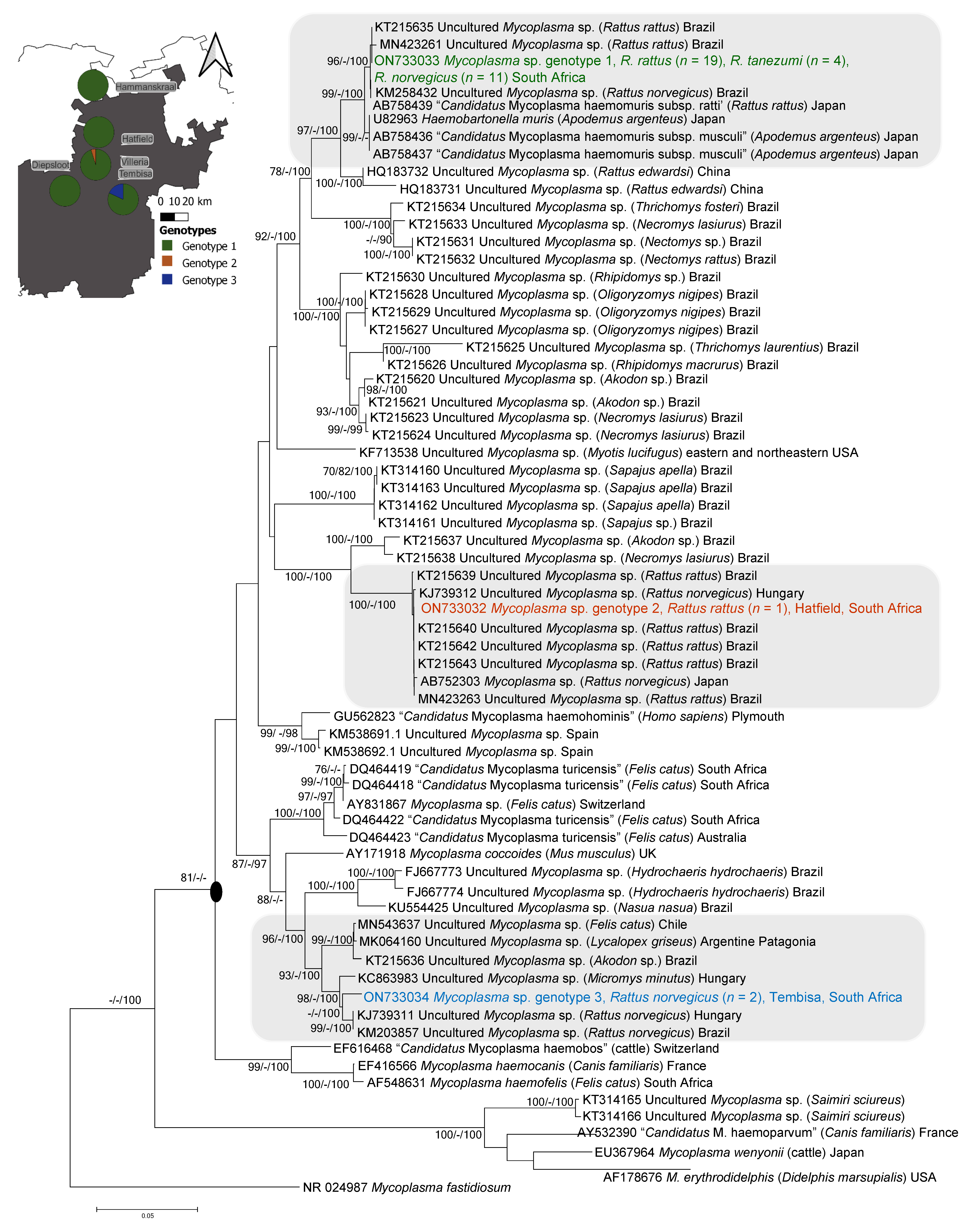 Microorganisms 10 01632 g003
