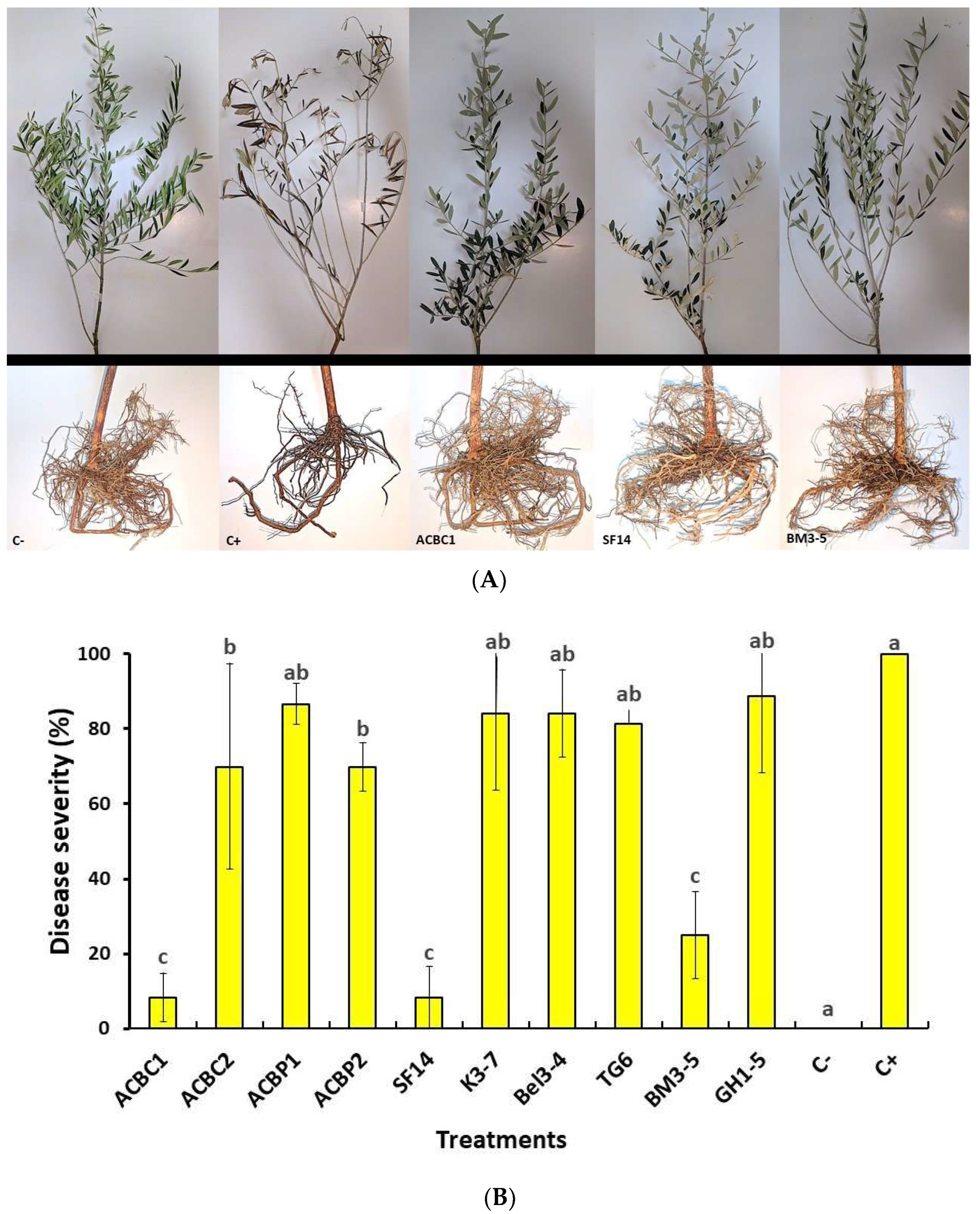 Microorganisms 10 01635 g005
