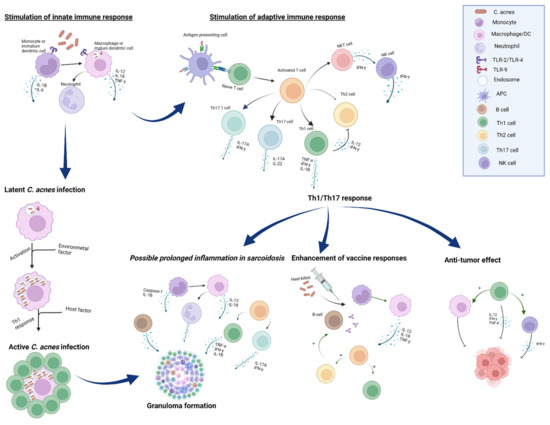 Microorganisms 10 01649 g002 550