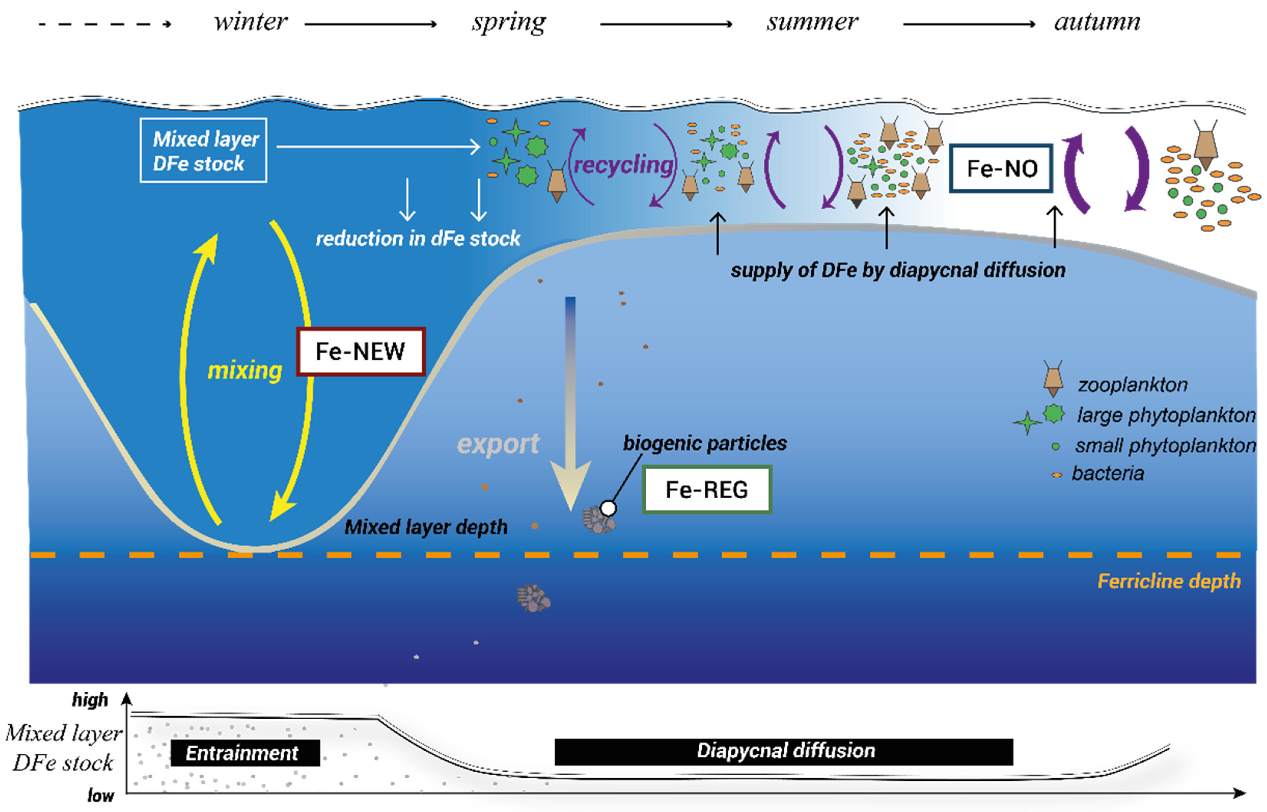 Microorganisms 10 01655 g001 Microorganisms 10 01655 g001