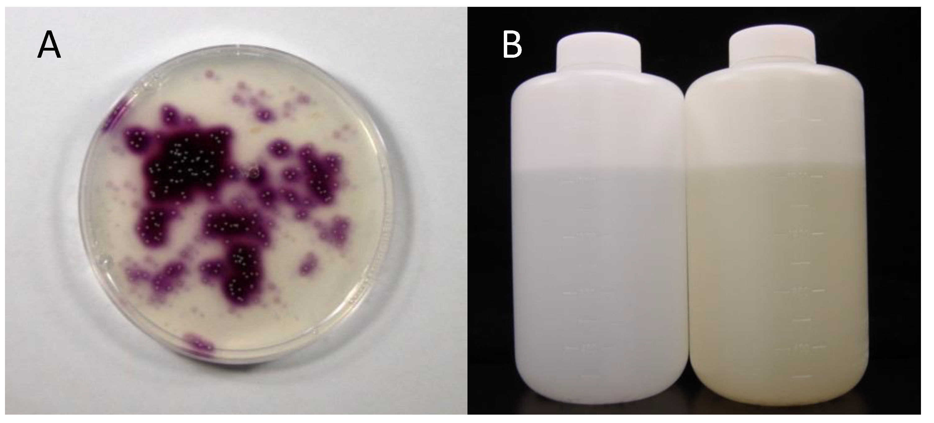 Microorganisms 10 01661 g001