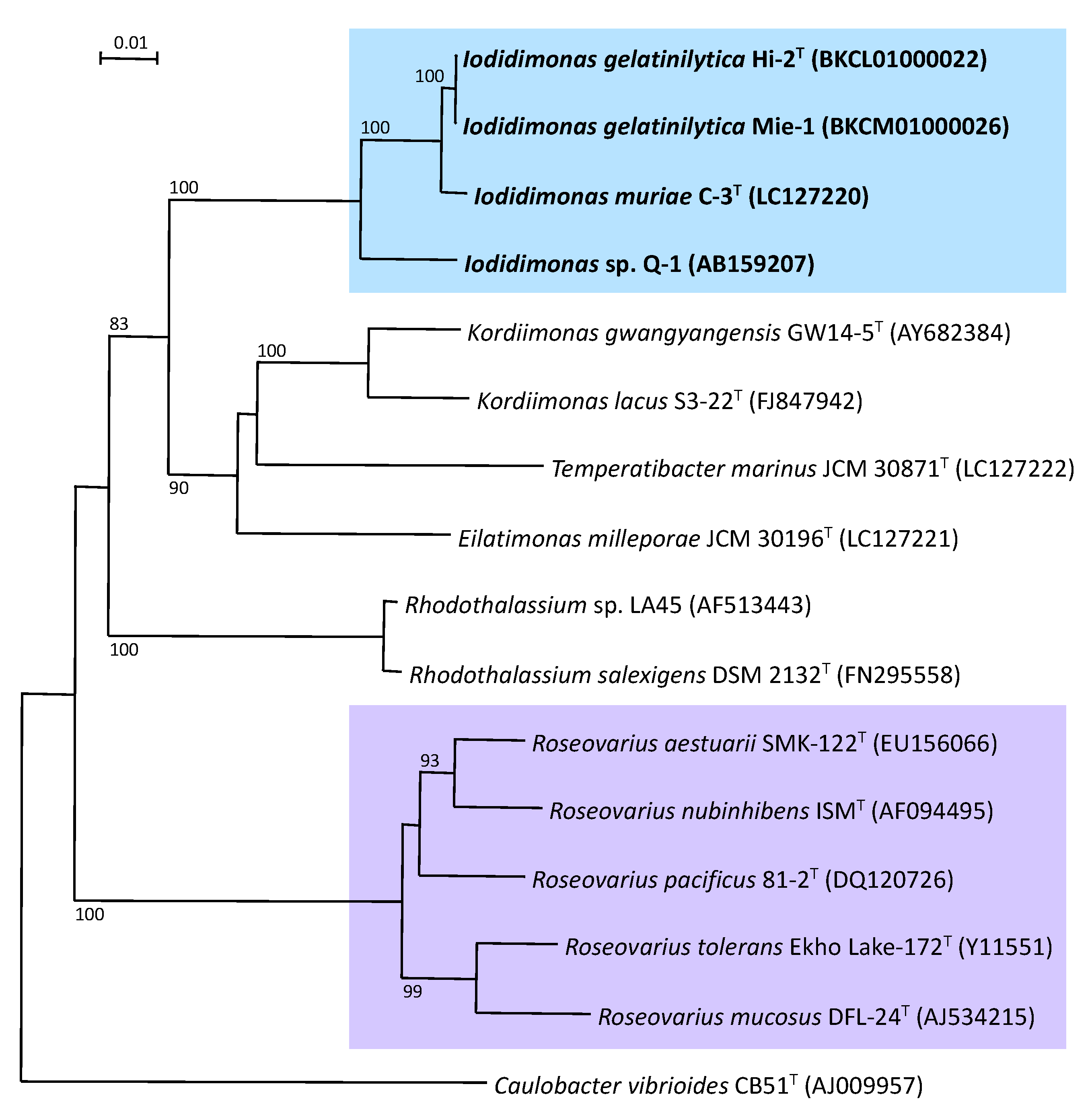 Microorganisms 10 01661 g002