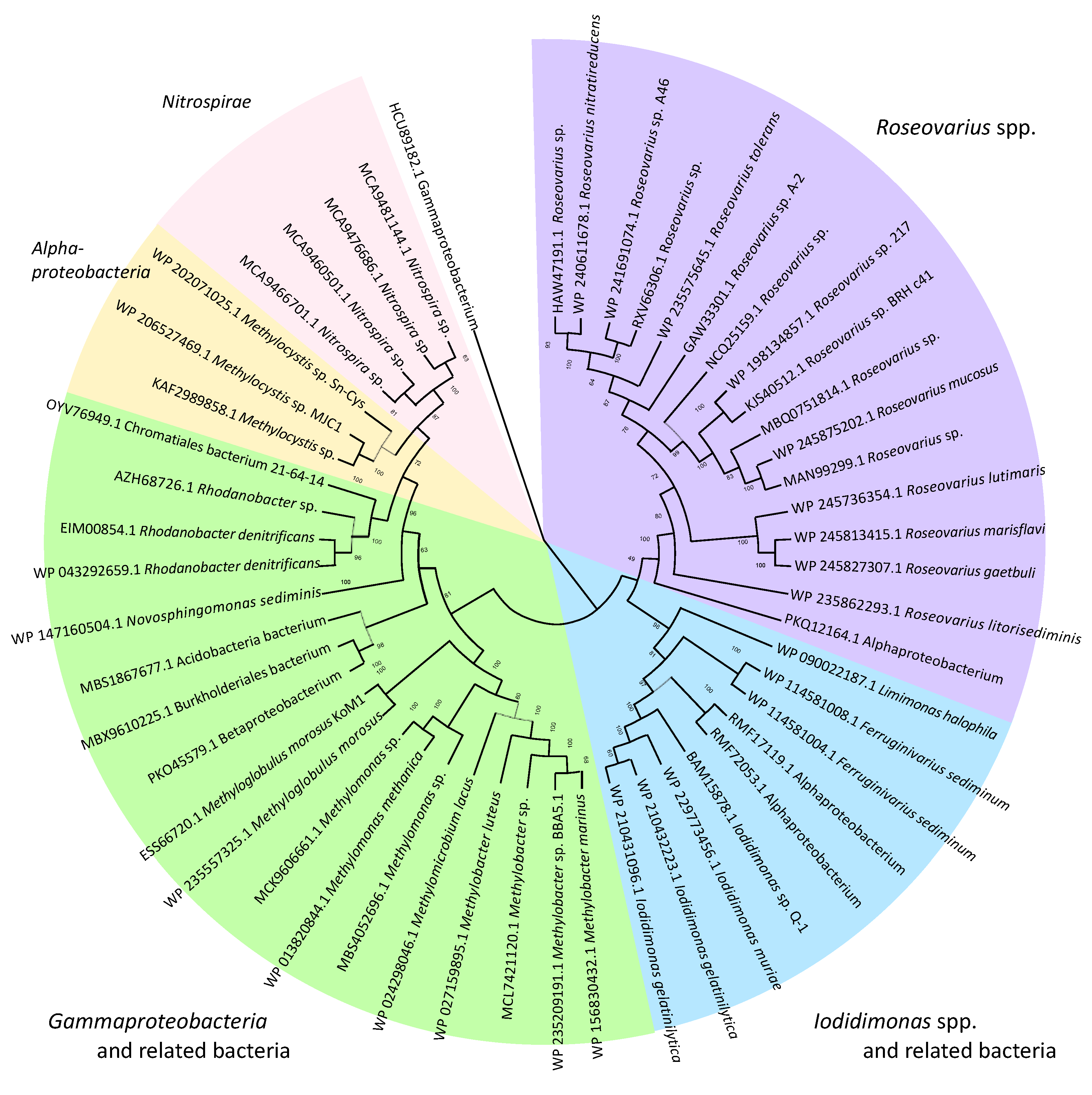 Microorganisms 10 01661 g003