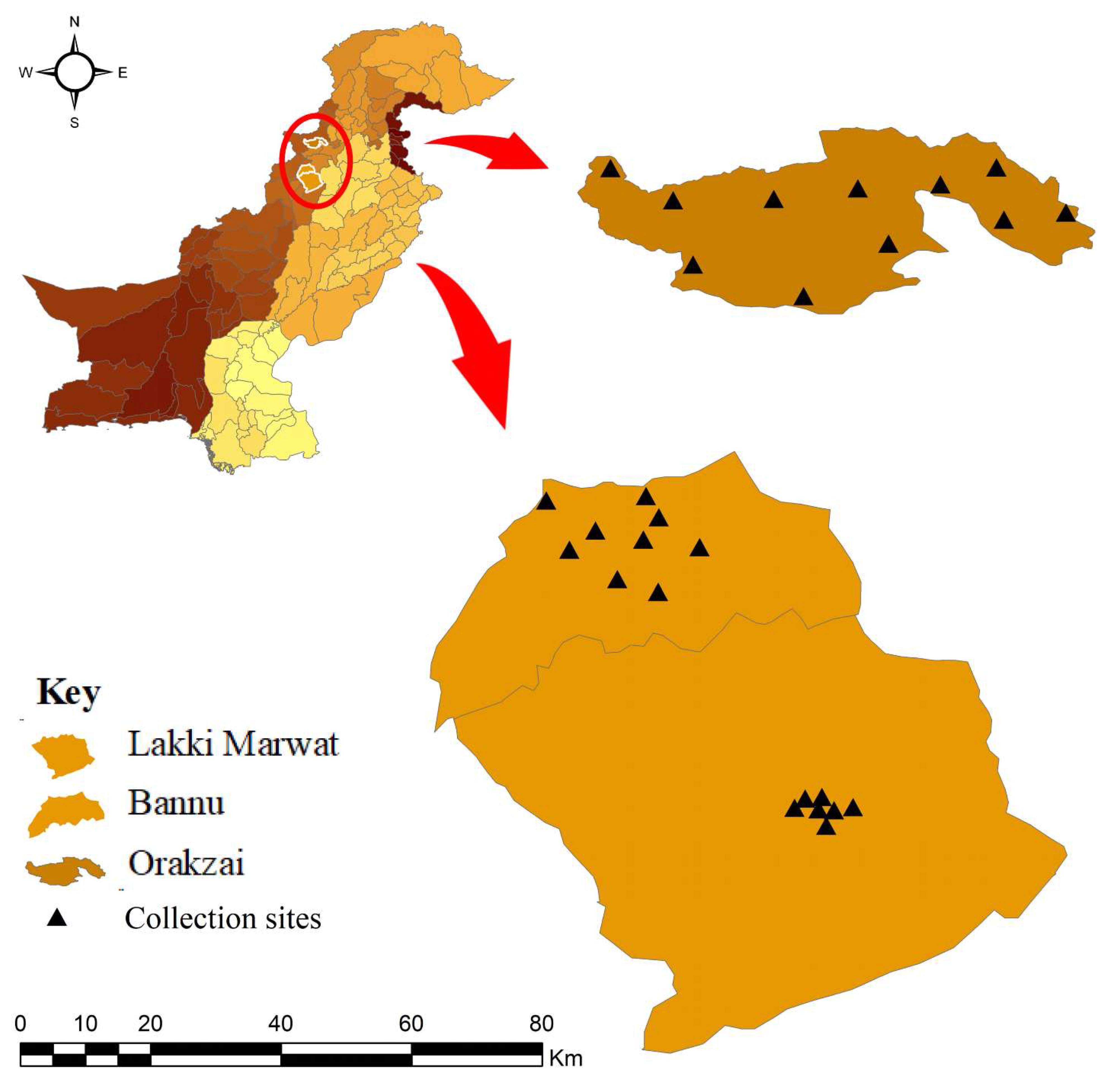 Microorganisms 10 01663 g001
