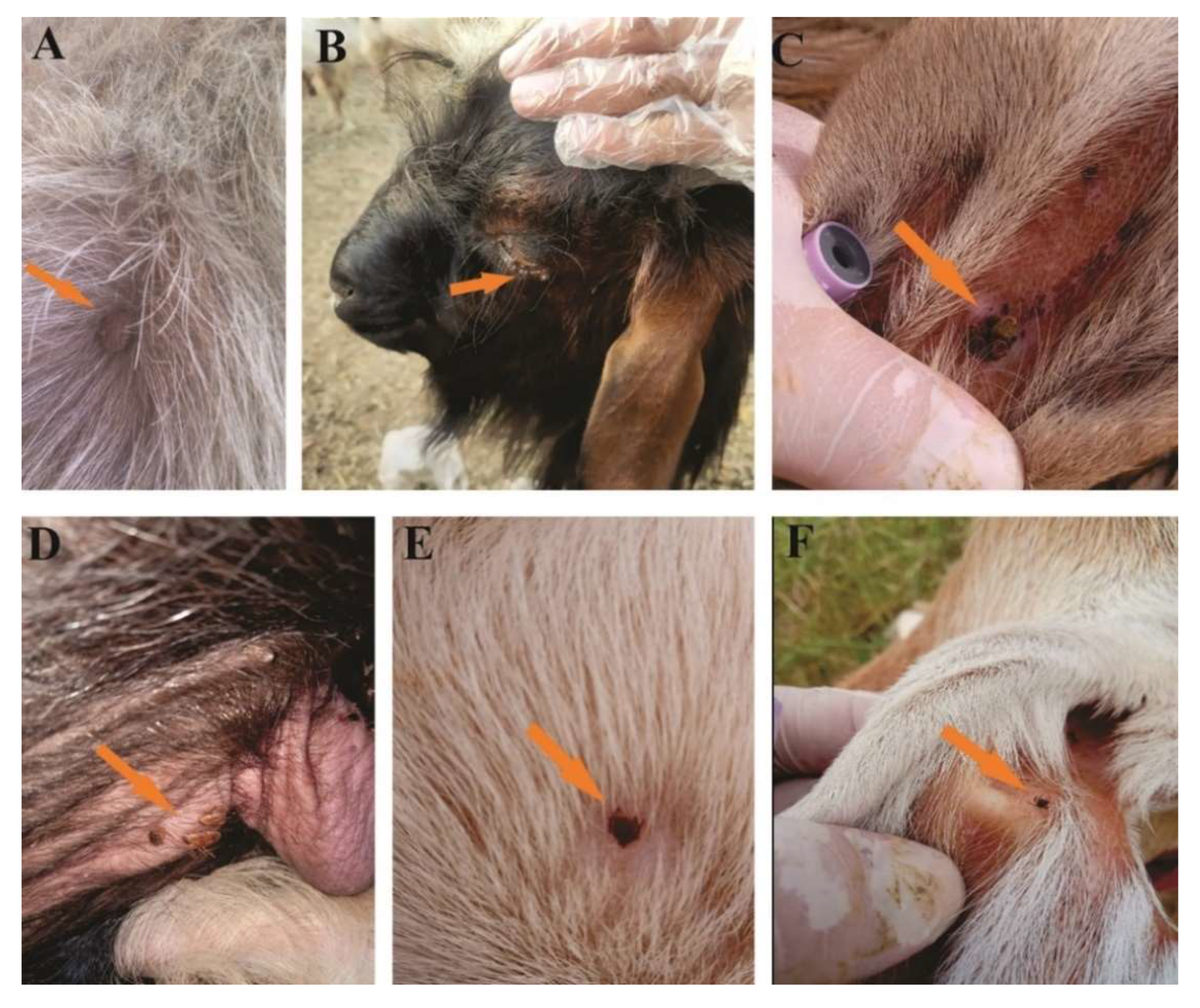 Microorganisms 10 01663 g002